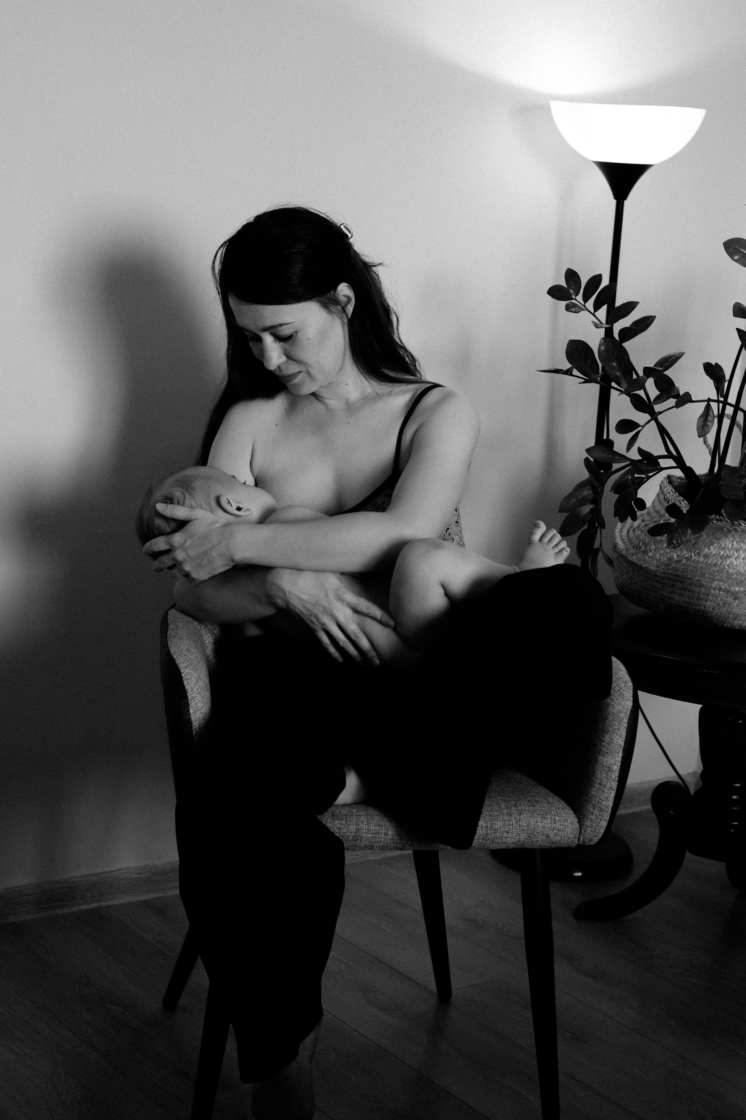 Домашняя история. Meryfotoidea