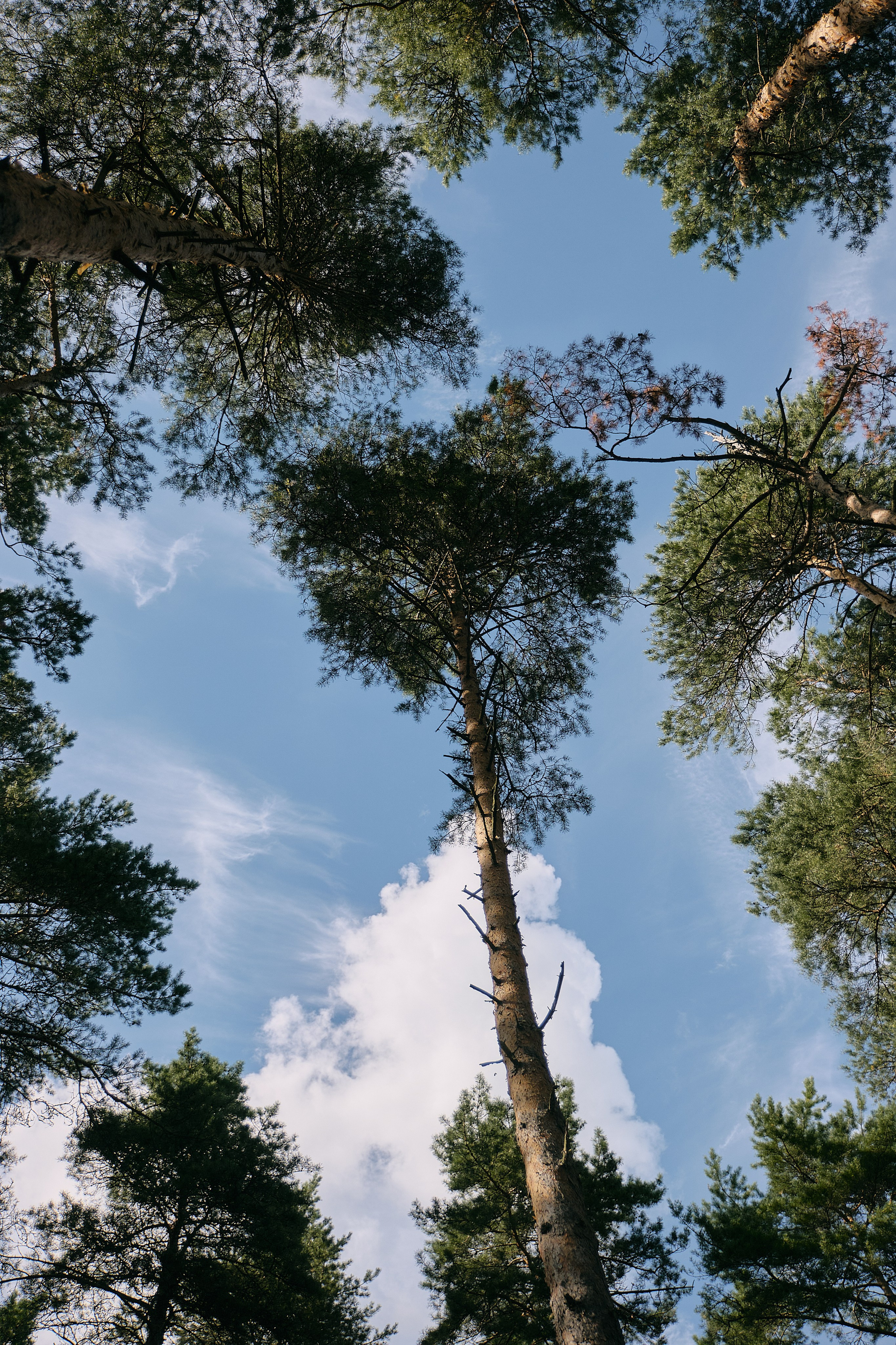 Александр и Екатерина. Фотограф в Москве и Санкт-Петербурге