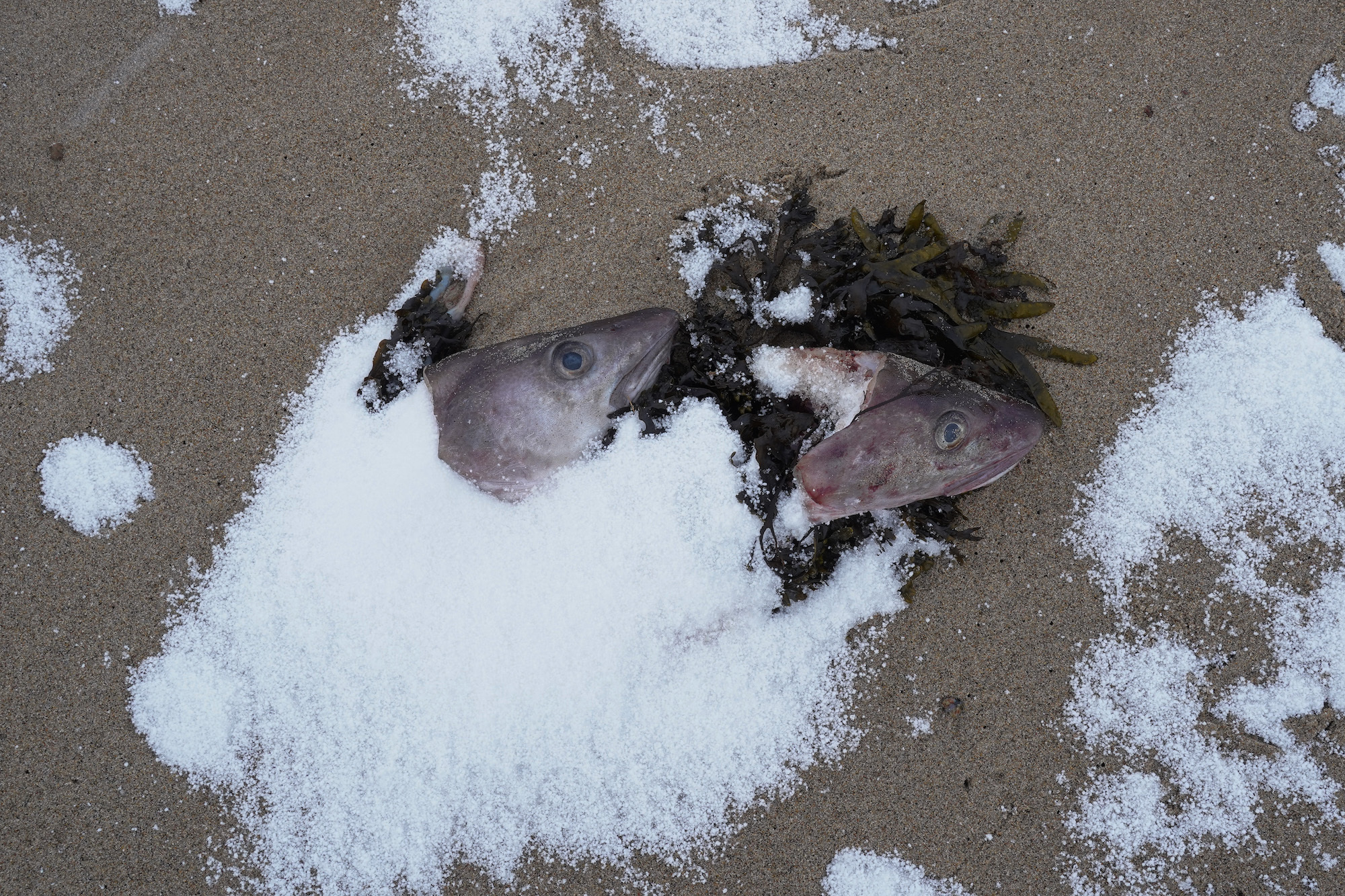 Край земли - Териберка. Natalia Oreshina documentary and art photographer from St. Petersburg