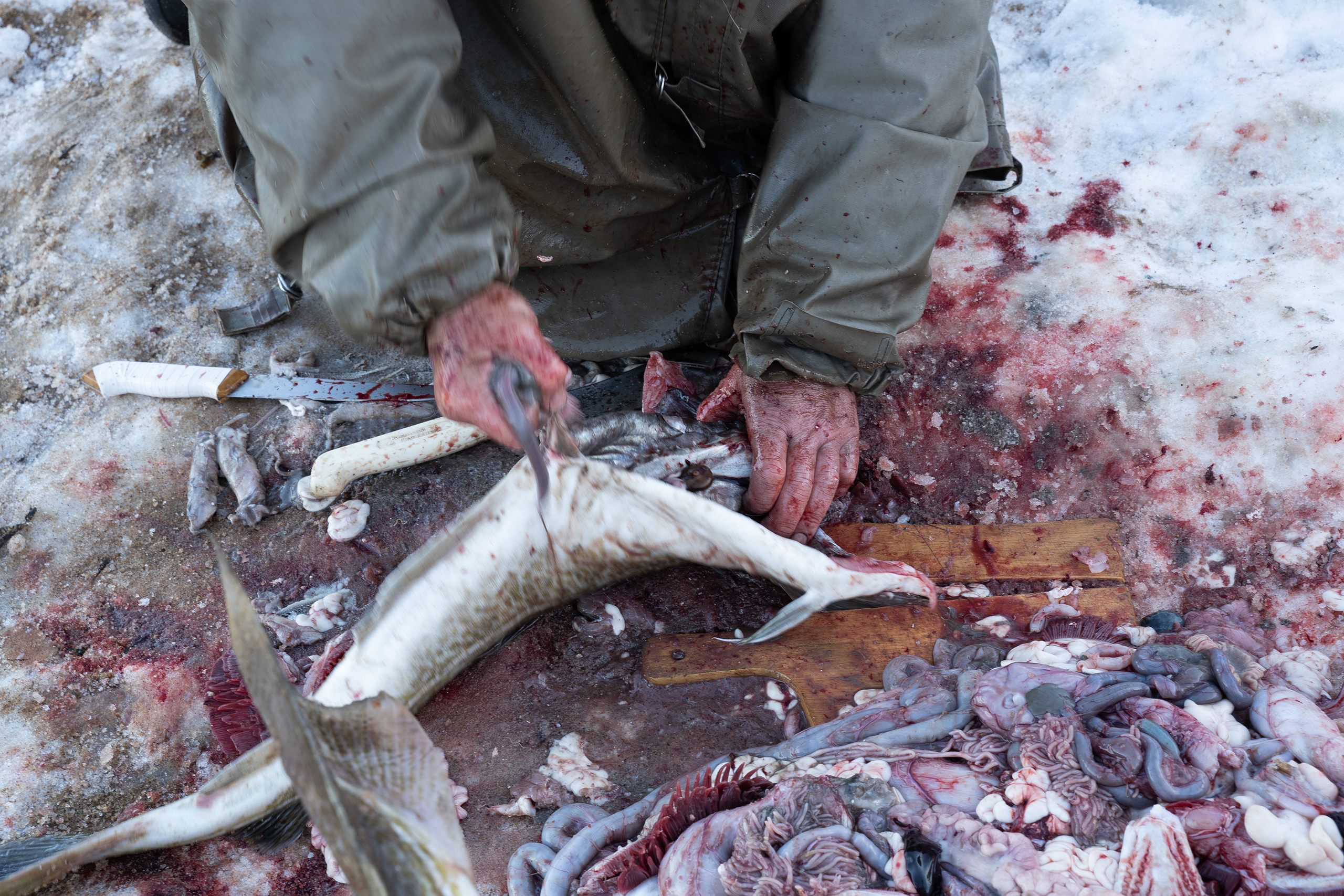 Край земли - Териберка. Natalia Oreshina documentary and art photographer from St. Petersburg