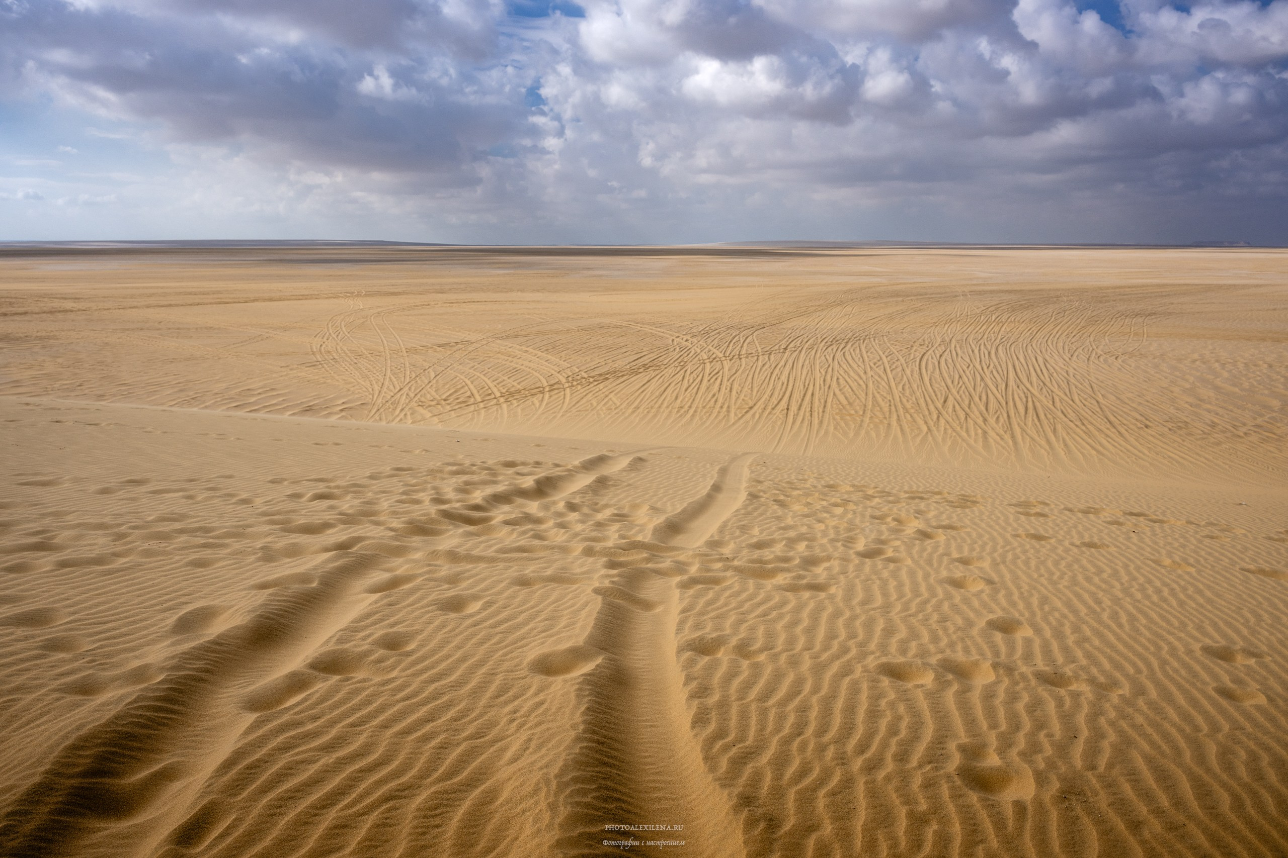 Снова в пустыню, за скелетами…. Авторские стильные фотокартины
