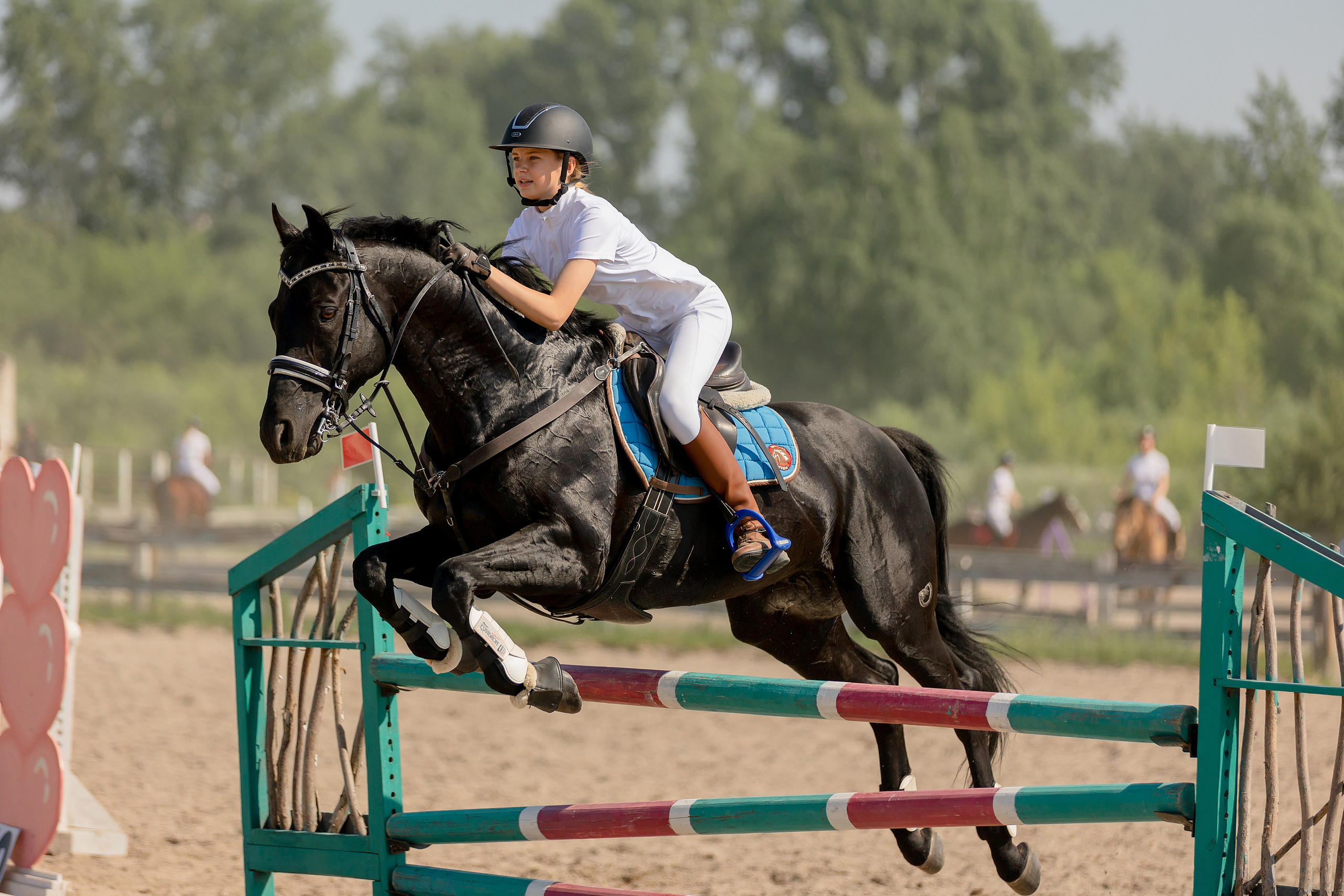 Соревнования по конному спорту. Конный фотограф Валынкина Лера