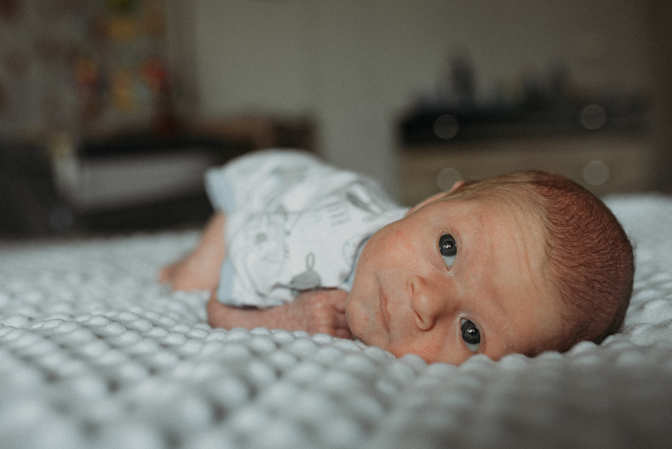 Илья. Фотограф новорожденных в Екатеринбурге Лена Ильина