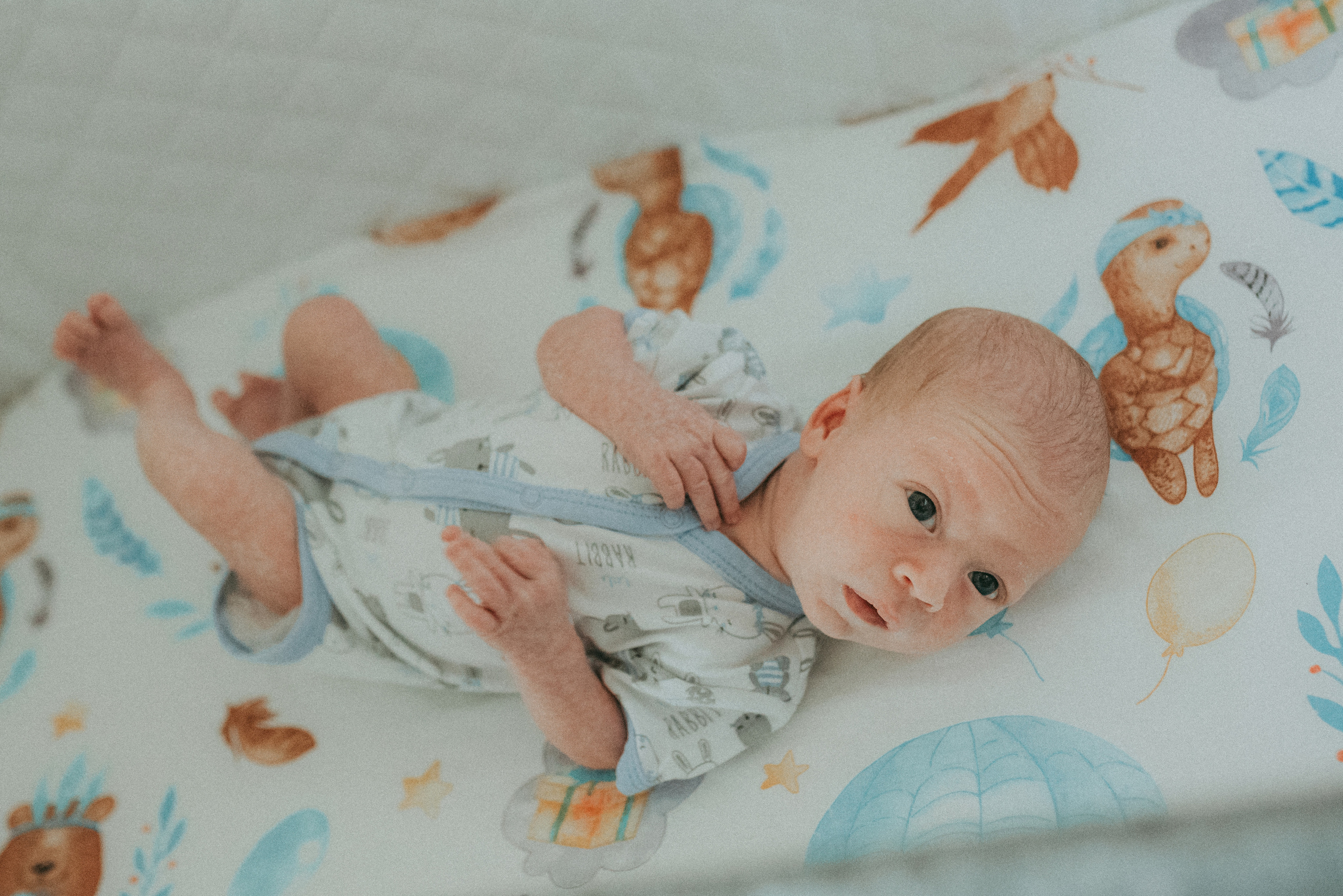 Илья. Фотограф новорожденных в Екатеринбурге Лена Ильина