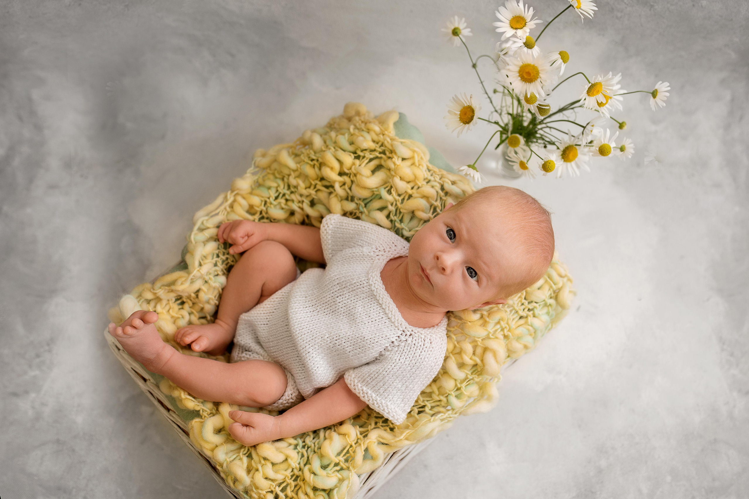 Лев_15 дней. Фотограф новорожденных в Екатеринбурге Лена Ильина