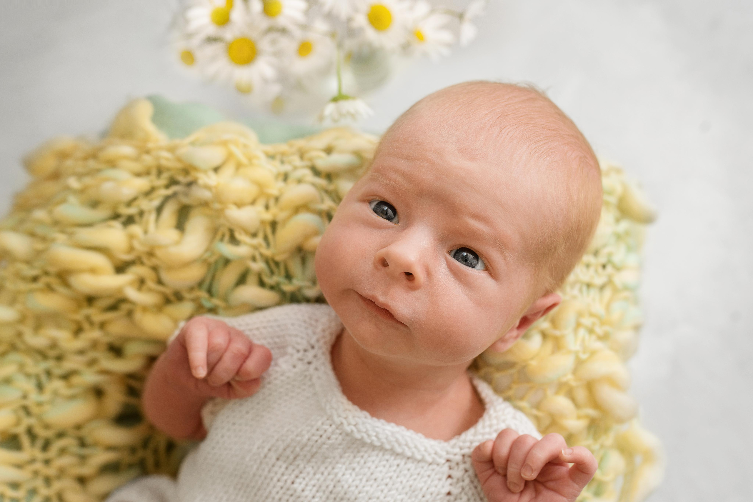 Лев_15 дней. Фотограф новорожденных в Екатеринбурге Лена Ильина