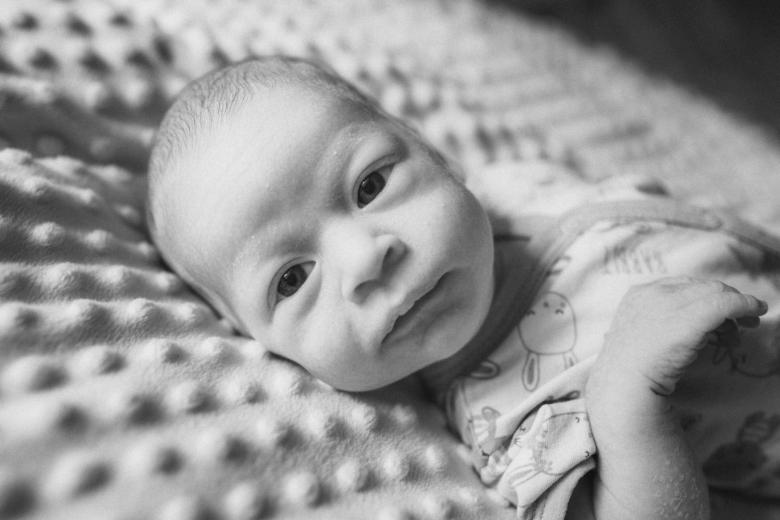 Илья. Фотограф новорожденных в Екатеринбурге Лена Ильина