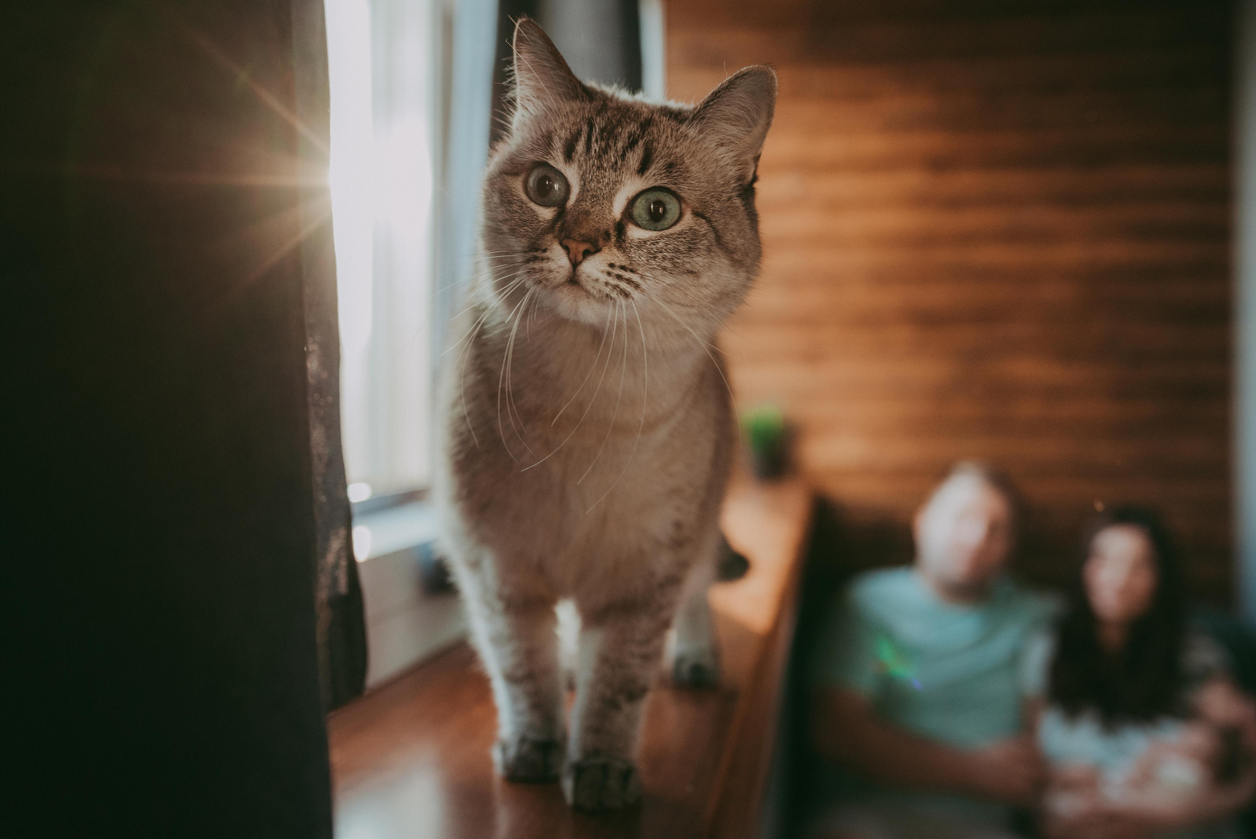 Семён. Фотограф новорожденных в Екатеринбурге Лена Ильина