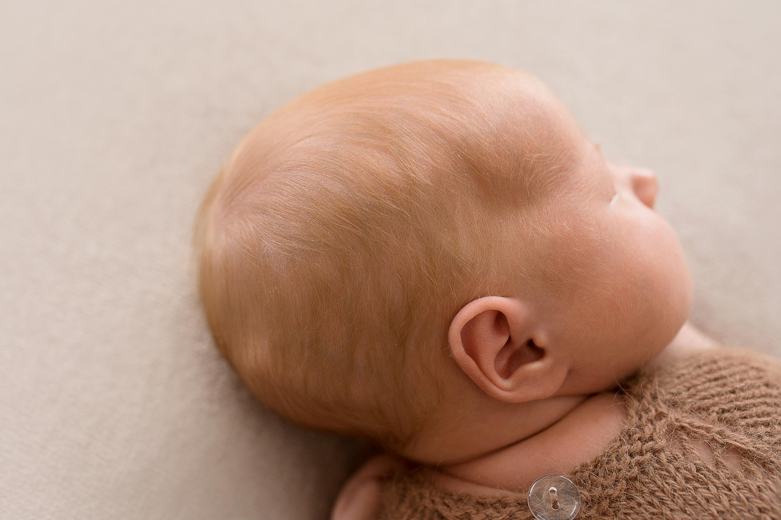 Лев_15 дней. Фотограф новорожденных в Екатеринбурге Лена Ильина