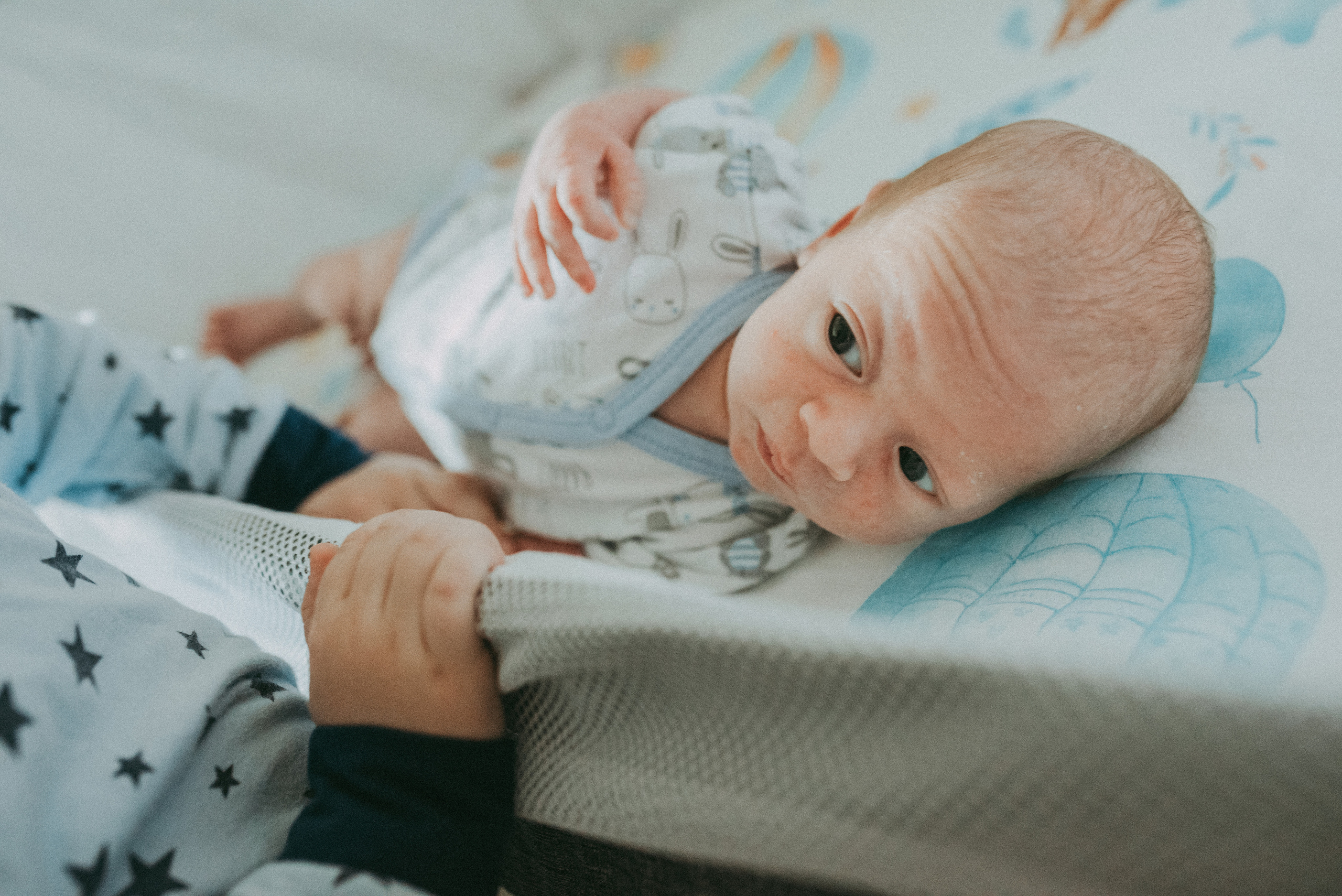 Илья. Фотограф новорожденных в Екатеринбурге Лена Ильина