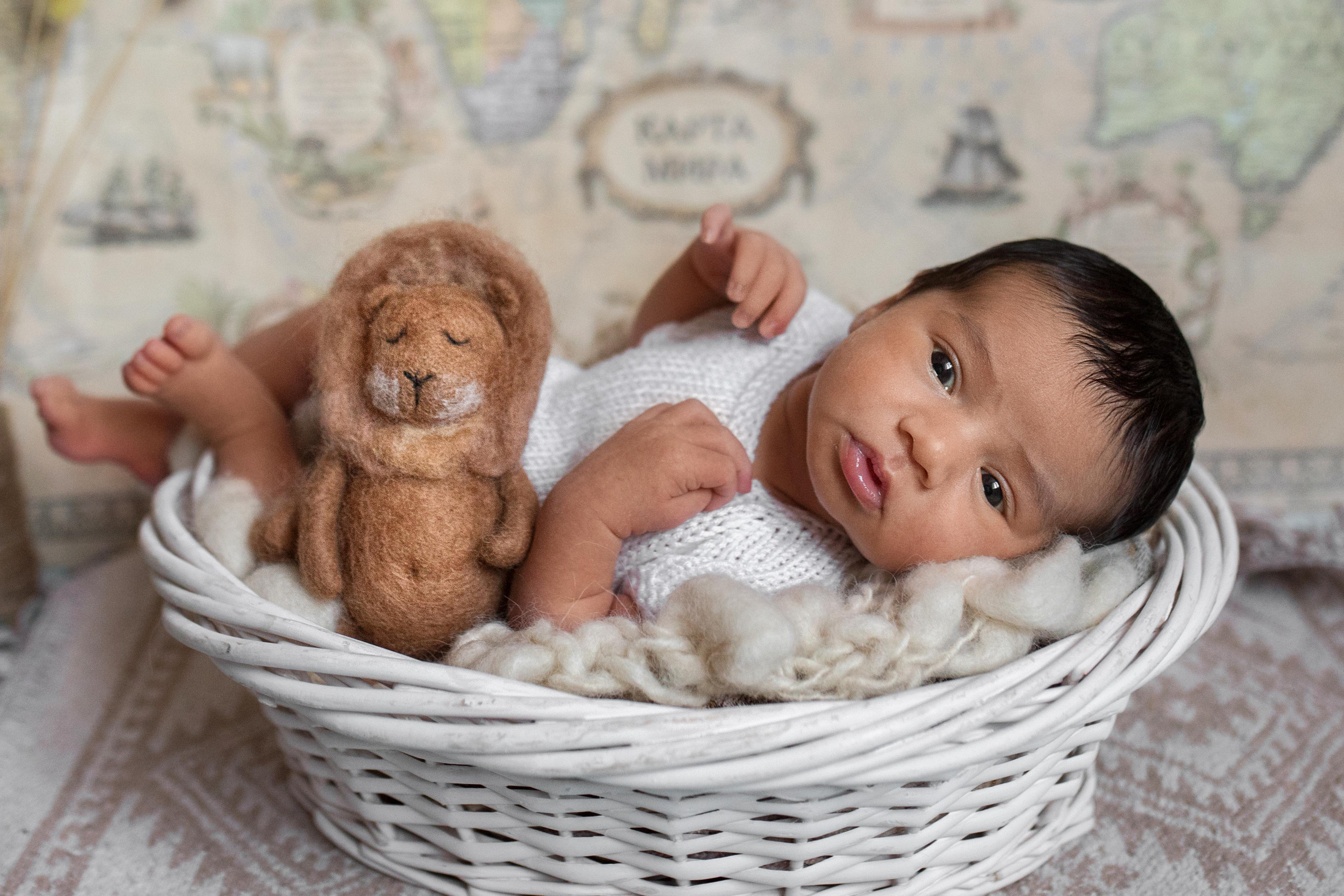 Лев. Фотограф новорожденных в Екатеринбурге Лена Ильина