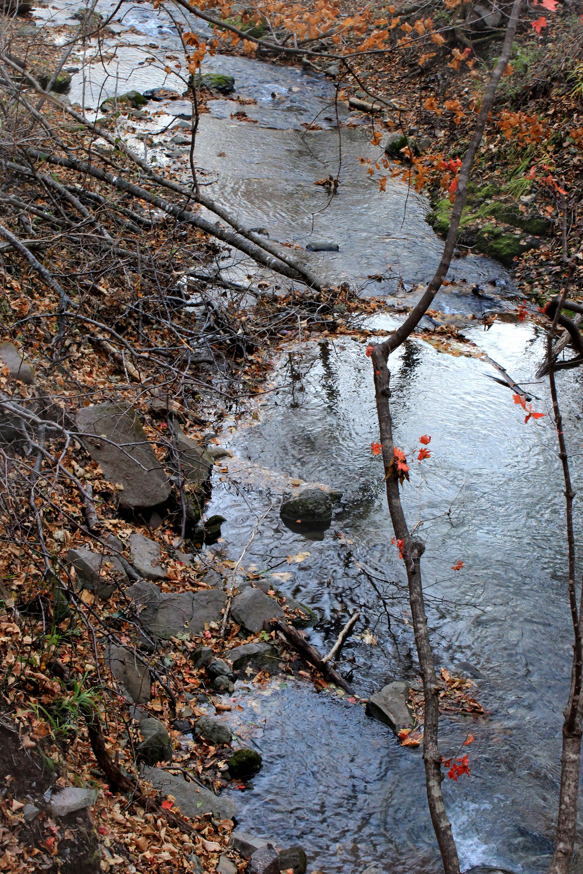 Природа. Команда фотографов Кристины Ивановой