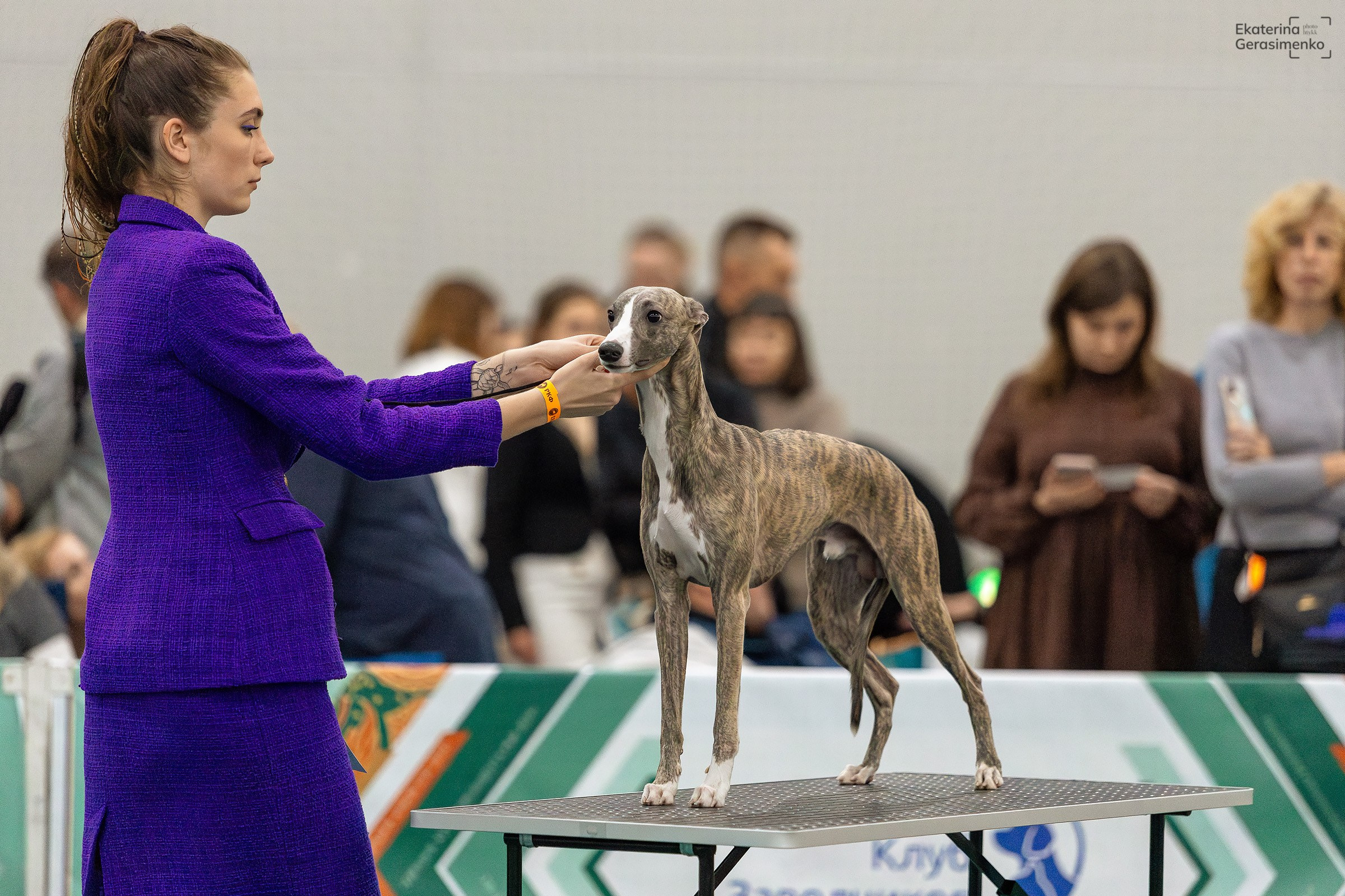 16–17 ноября 2024, Выставка ЕВРАЗИЯ, г. Москва. Htykk_photo