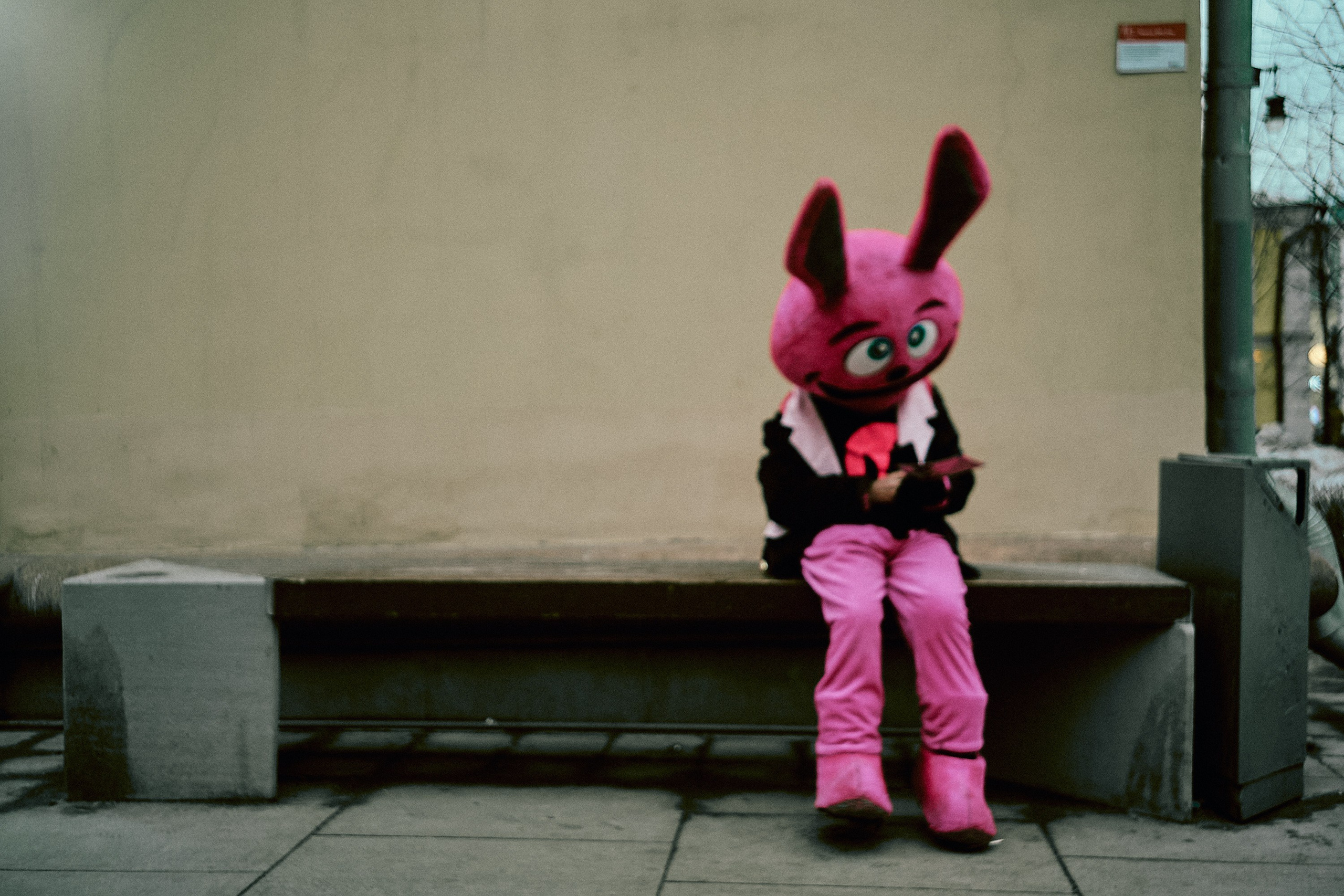 Москва. Фотограф и оператор мероприятий, концертов и портретов в городе Москва