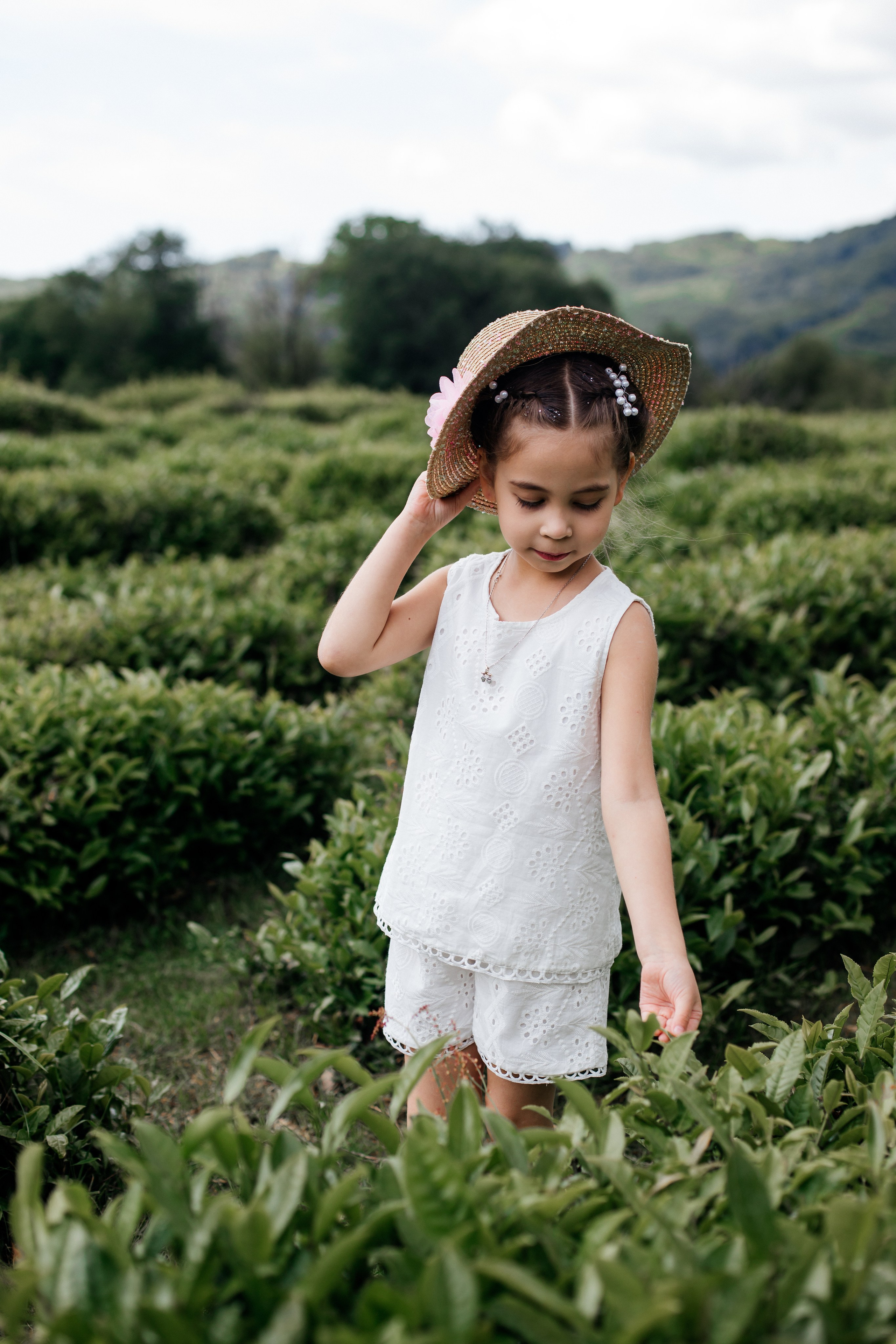 Tea plantation. Efimova Model Agency