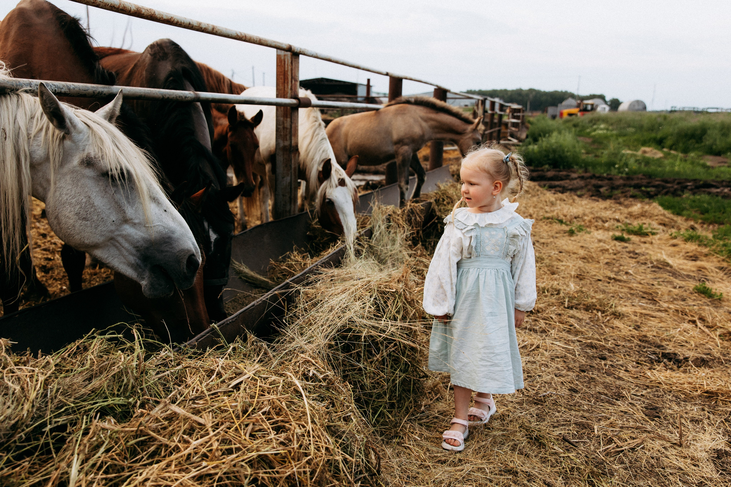 Мира и её семья. Главная
