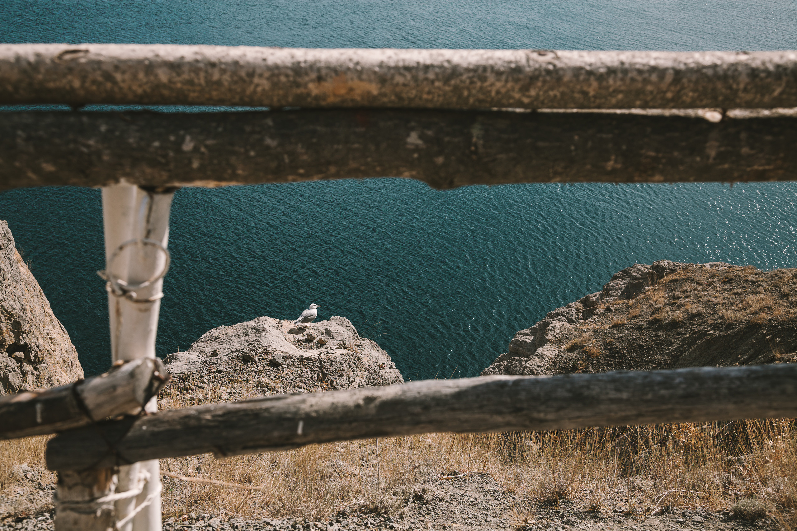 На краю земли. Фотограф Валуйки, Белгородская область. Коробова Юля
