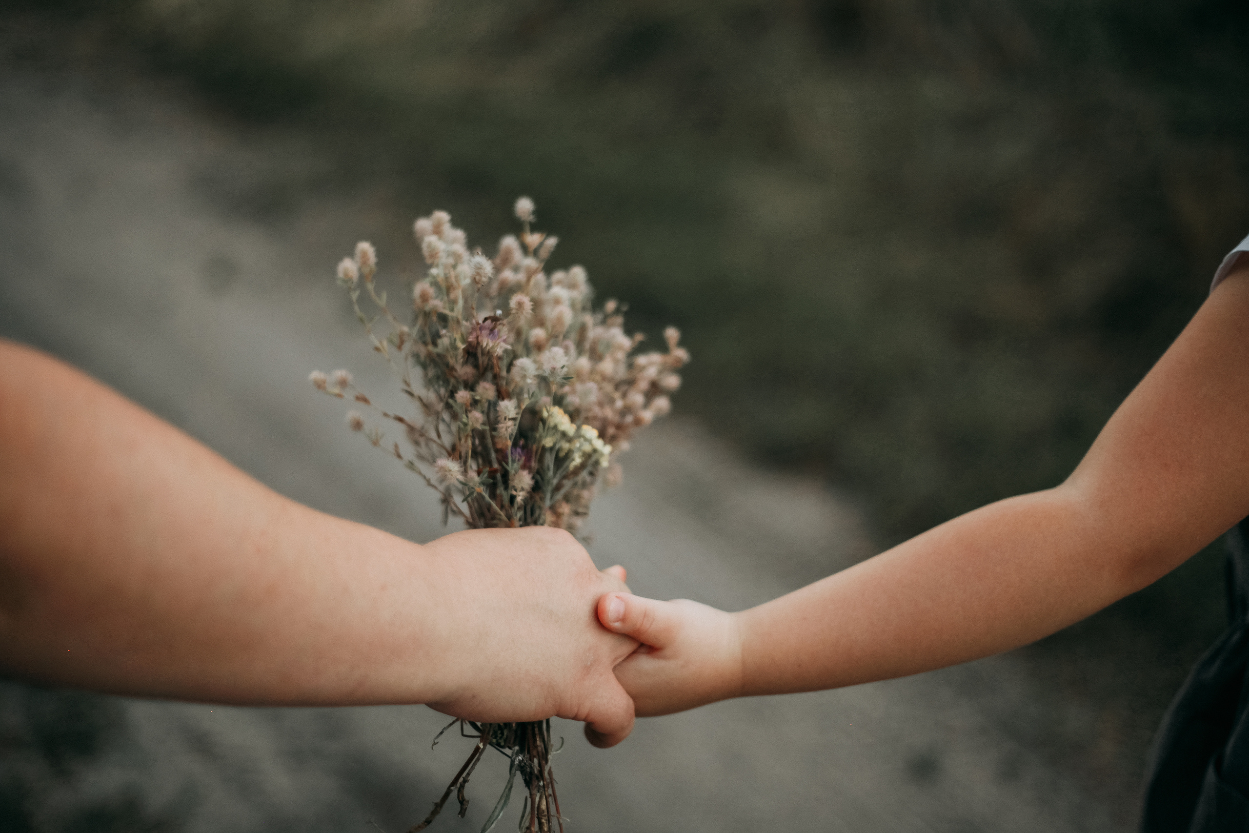 Моя жизнь. Фотограф Валуйки, Белгородская область. Коробова Юля