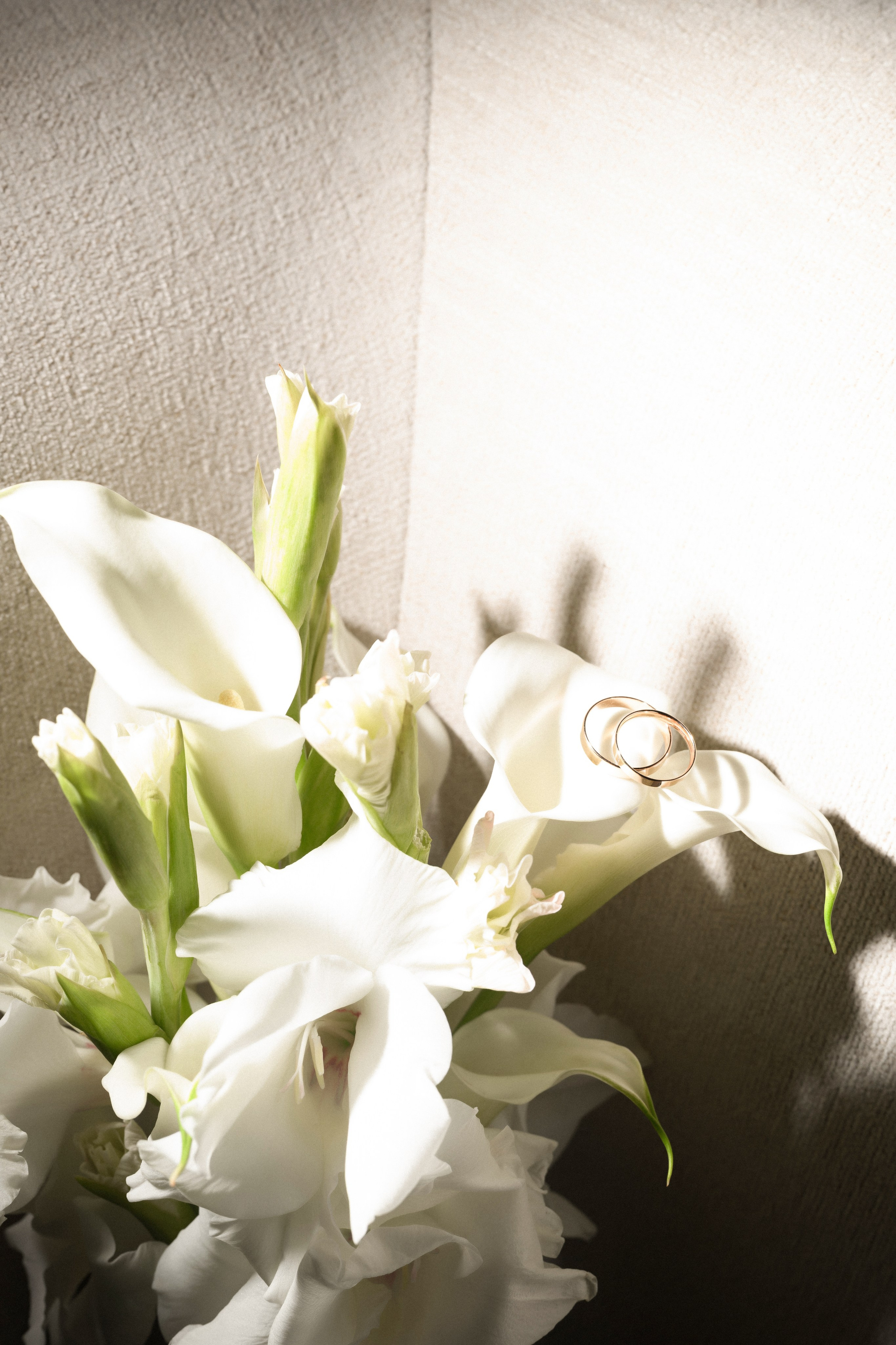 27.09.25. Свадебный и семейный фотограф в Краснодаре