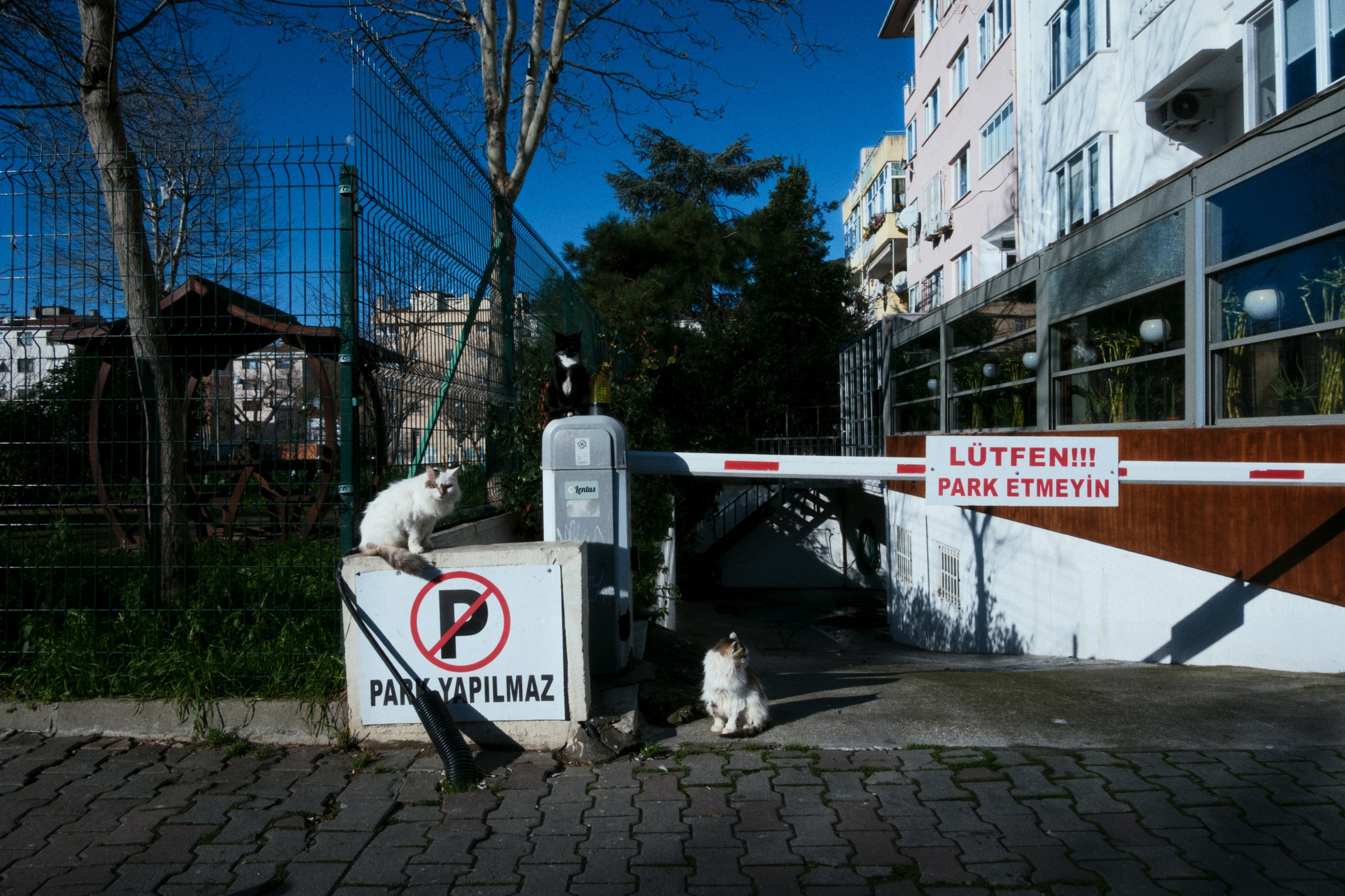 Kadikoy x Moda, Istanbul / Türkey AW26. Фотограф Юрин Евгений