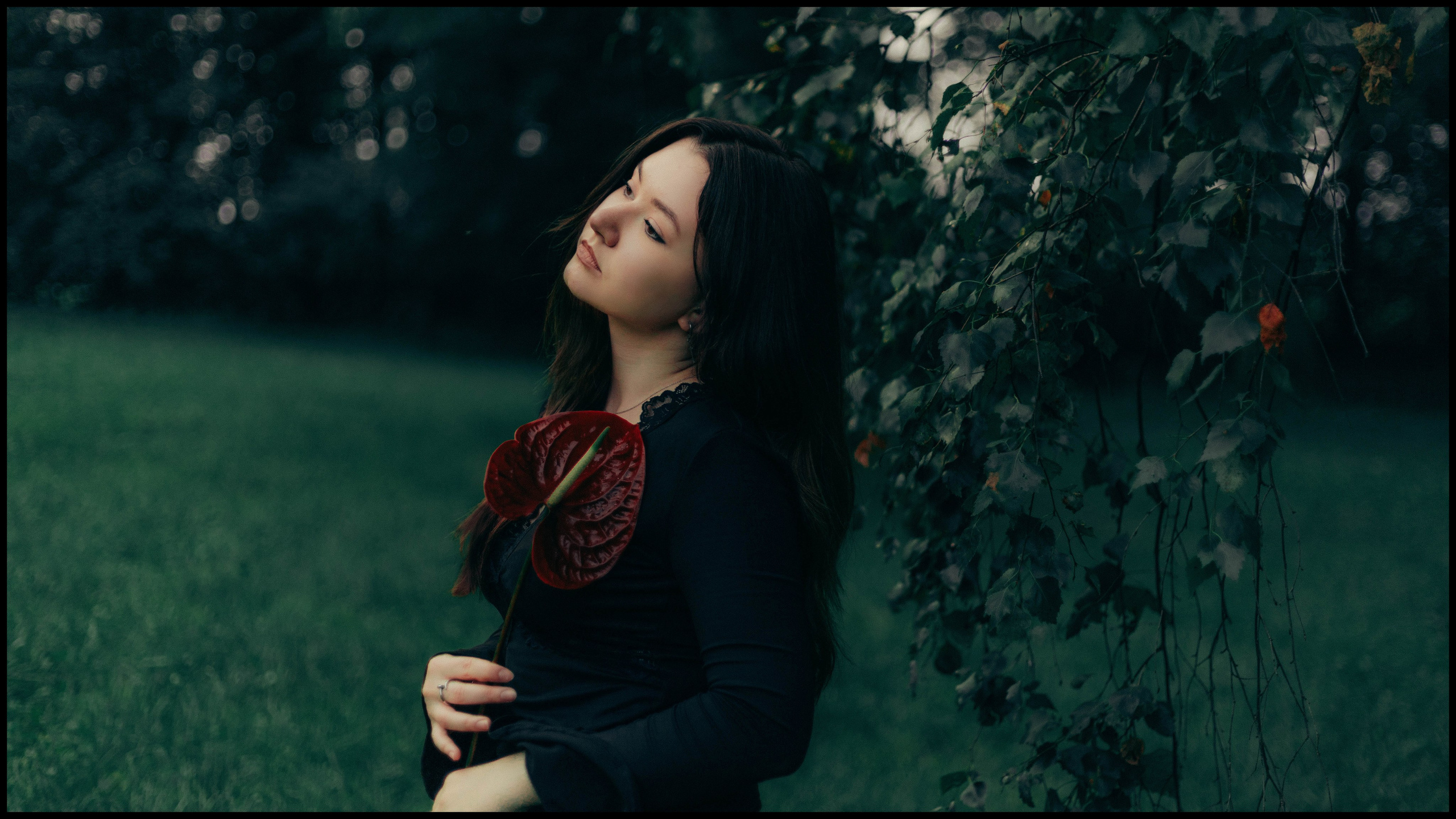 RED. Sun Betty — кинофотограф Элизабет