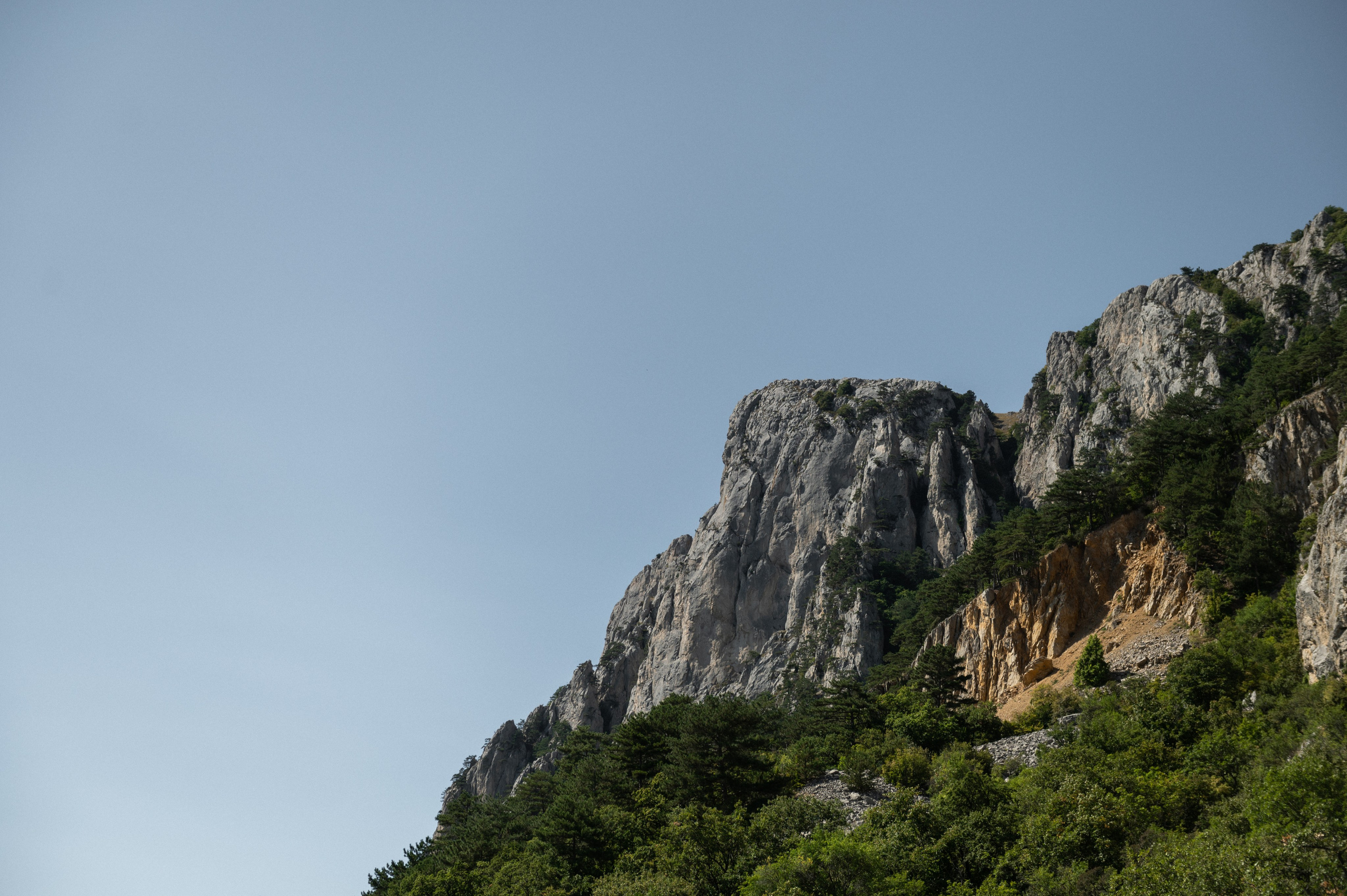 Евгений и Таня. Фотограф Штым Галина — Фотограф в Севастополе, Крыму