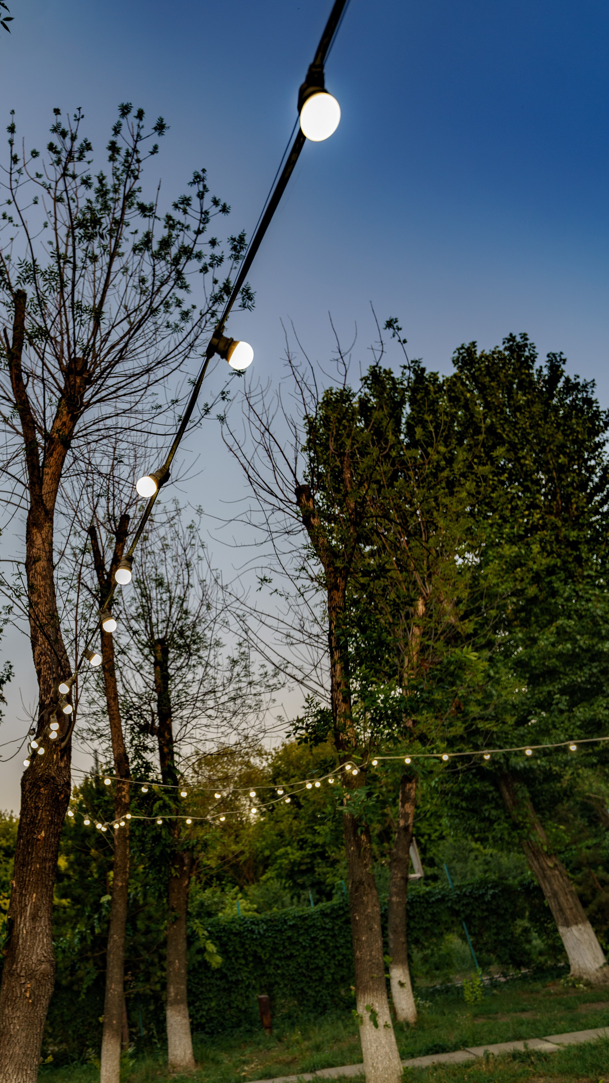 День любви, семьи и верности в  ресторане Vero Gusto. Фотограф в РФ и ЛНР Юлия Федосеева