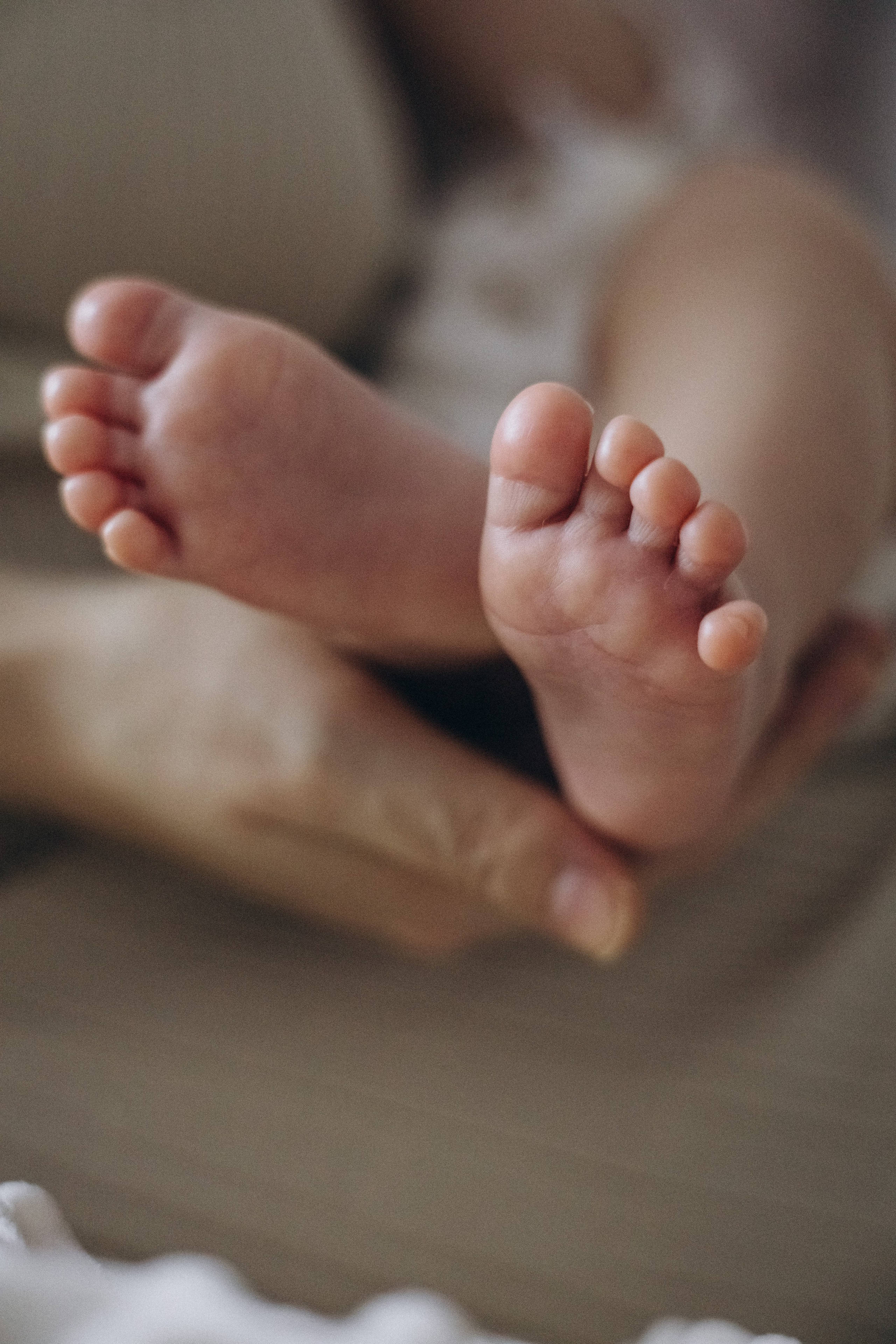 Домашняя семейная фотосессия. Семейный фотограф в Санкт-Петербурге Екатерина Васильева