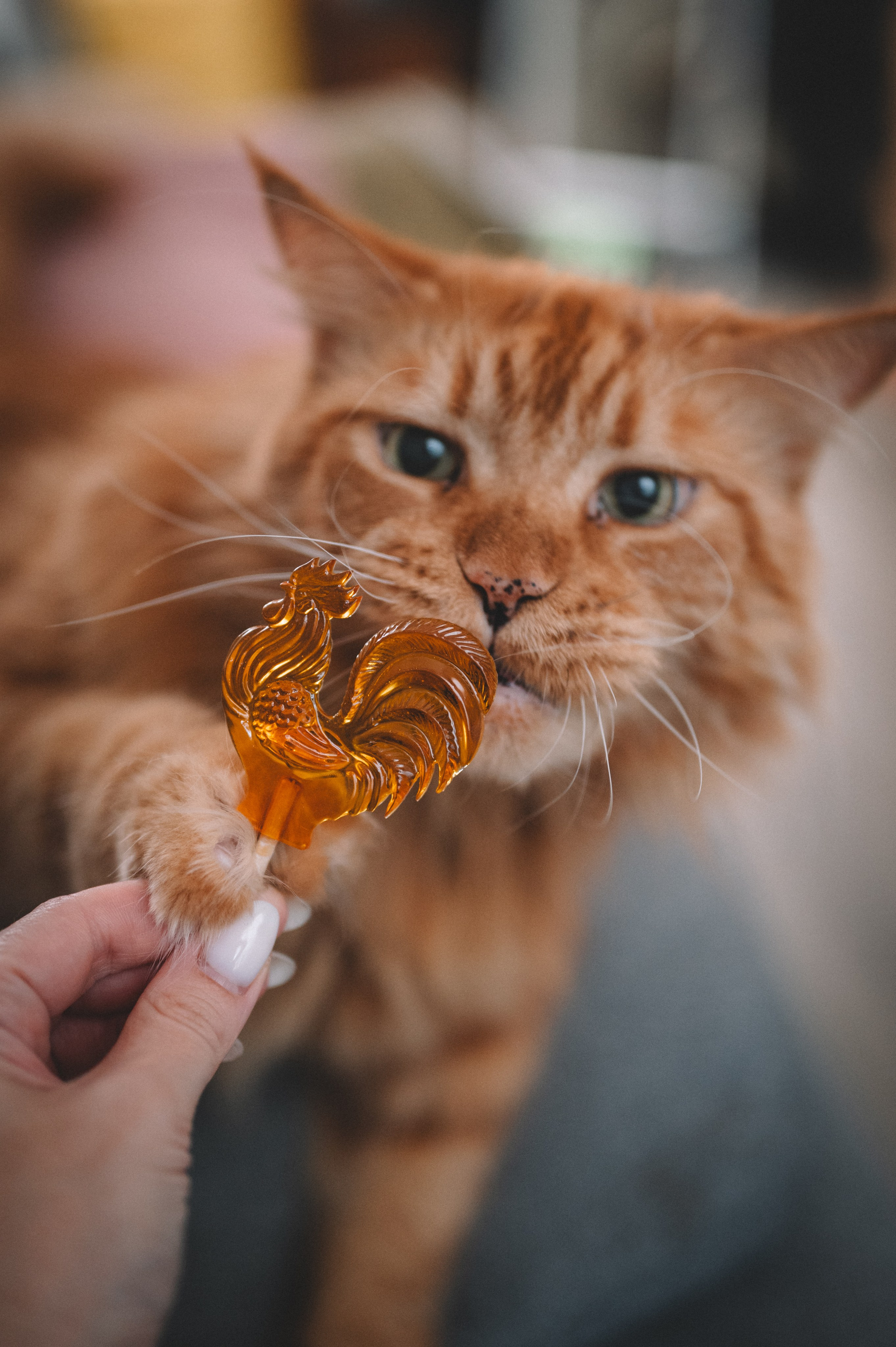 Броши от КастомФил. Фотограф Анна Темнова. Пенза