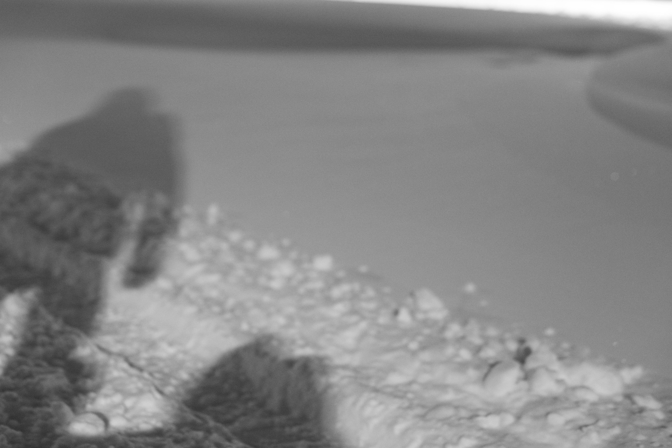 No name. Lifestyle photographer Turku. I catch emotions in the frame