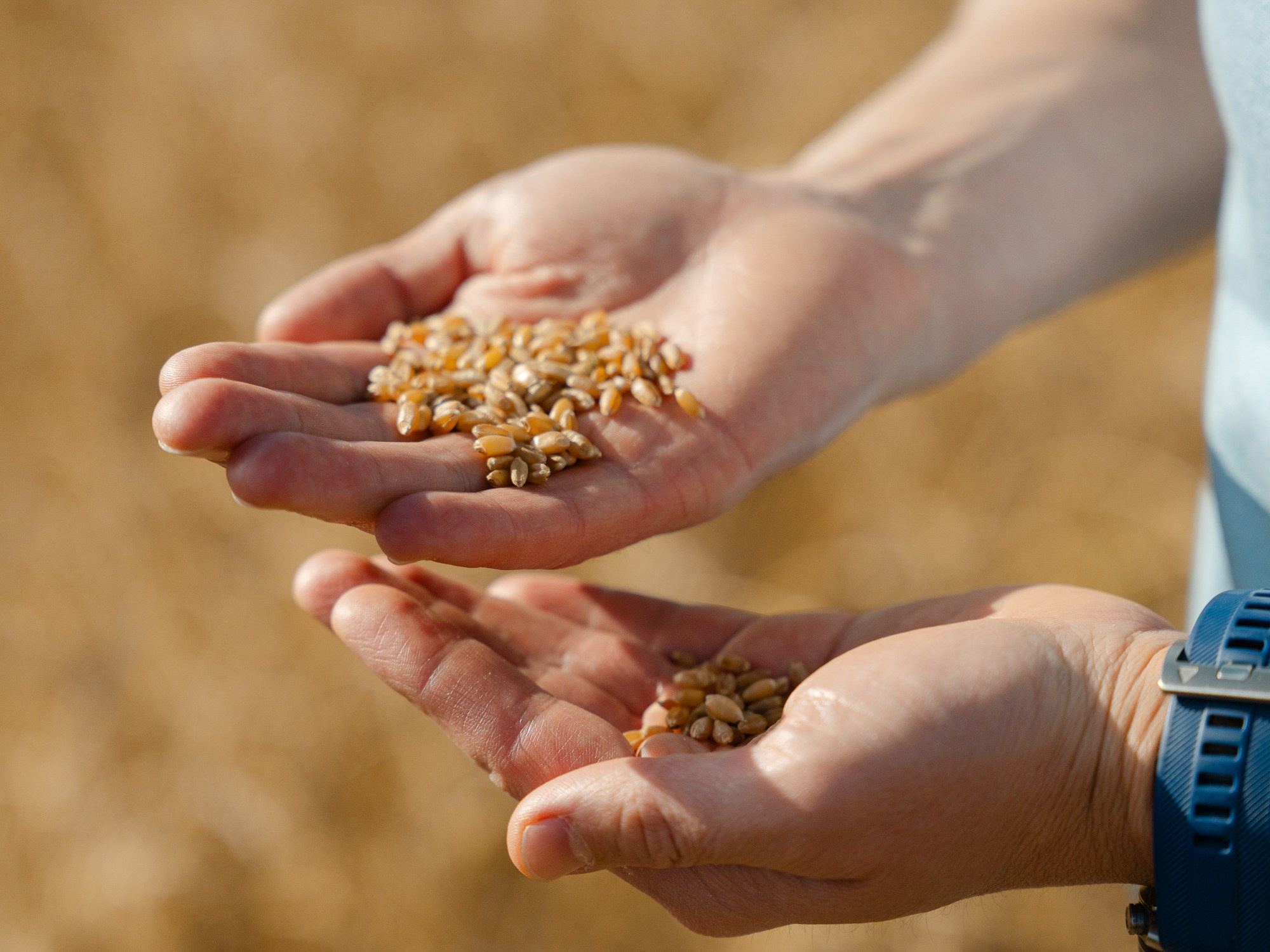 KazAgroNan. Адиль Абильтаев|Фотограф|Астана