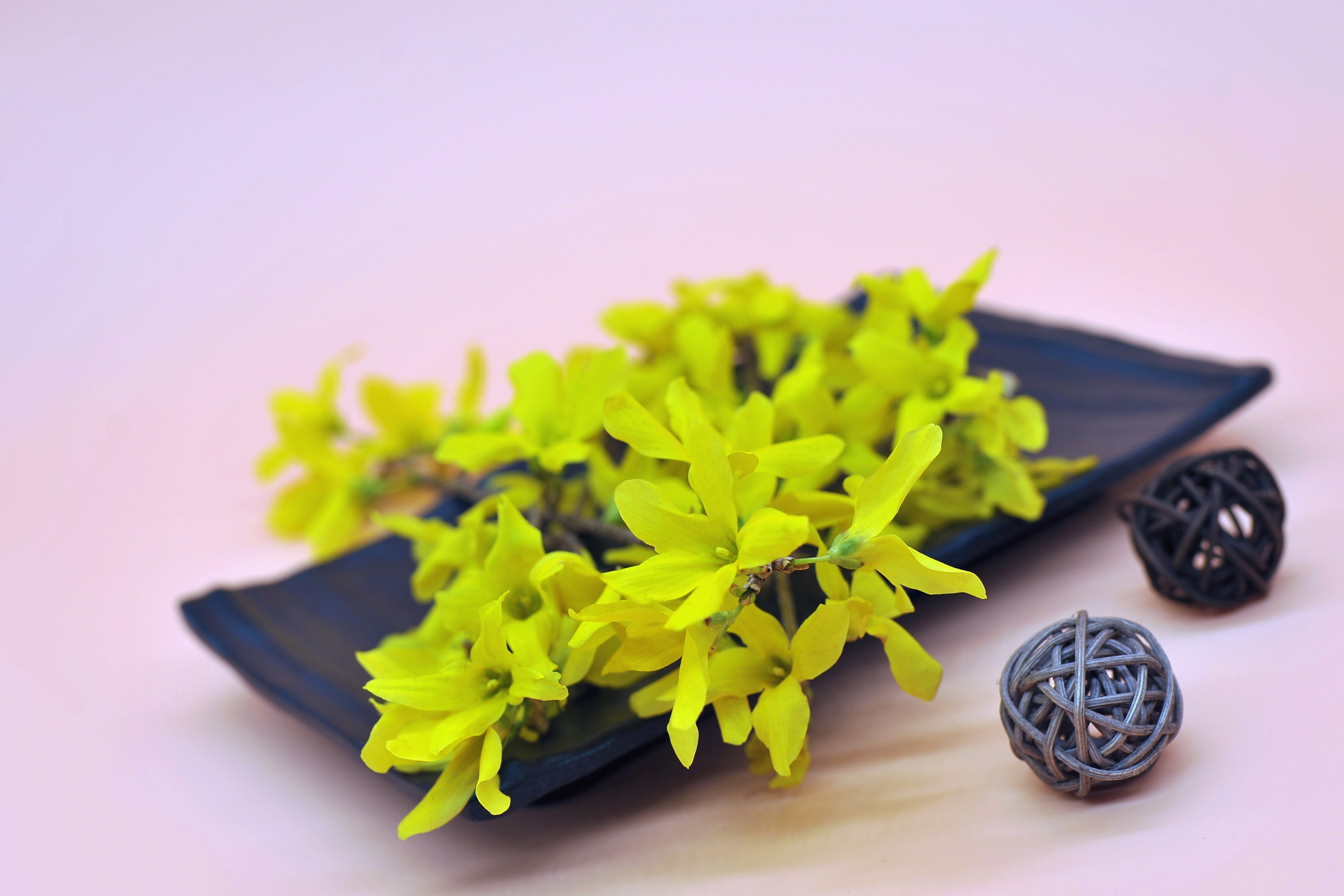 Предметная фотография. FotoGraf