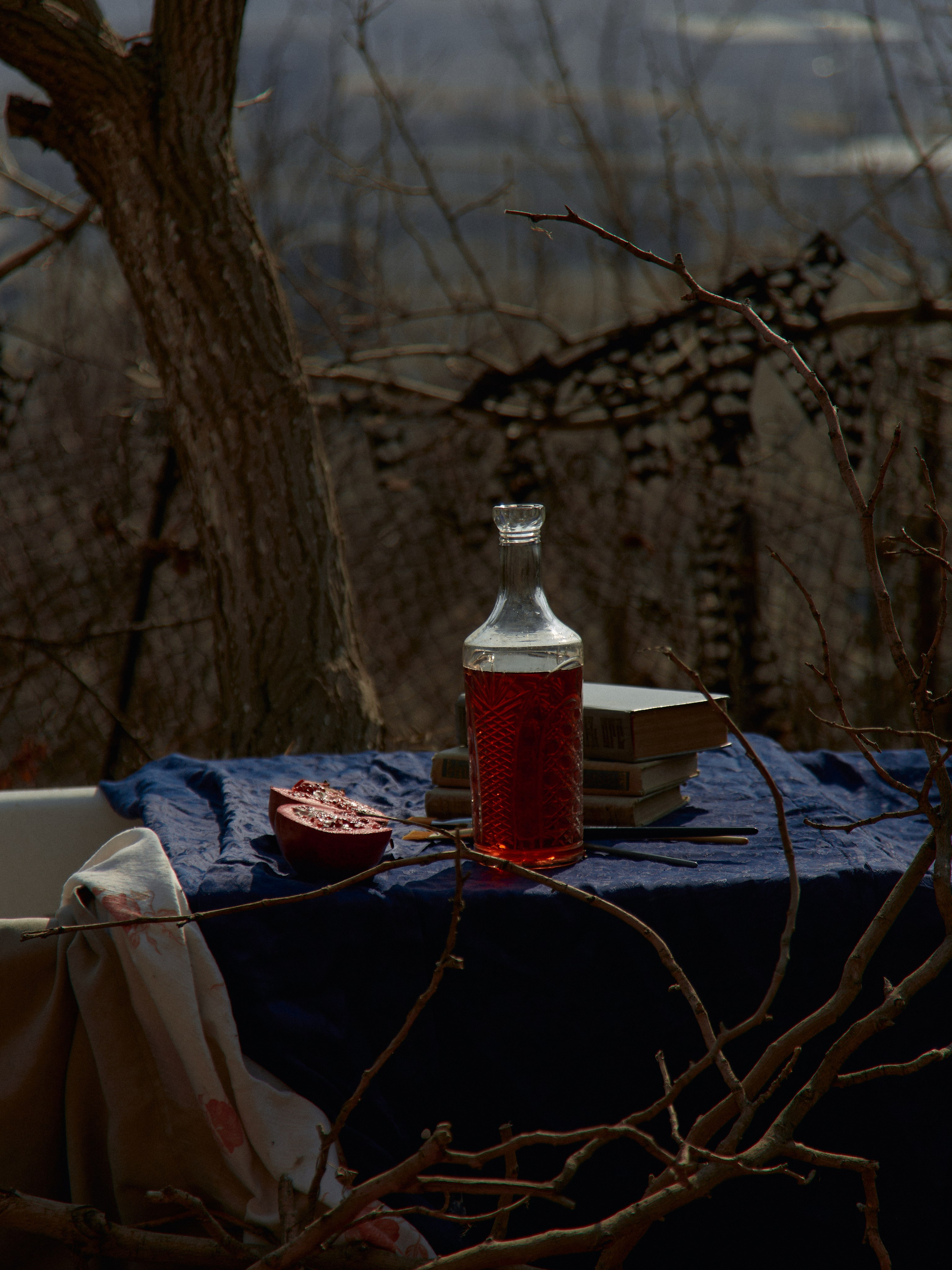 Интерпретация картины «Смерть Марата». Egor Plakhotin Photography