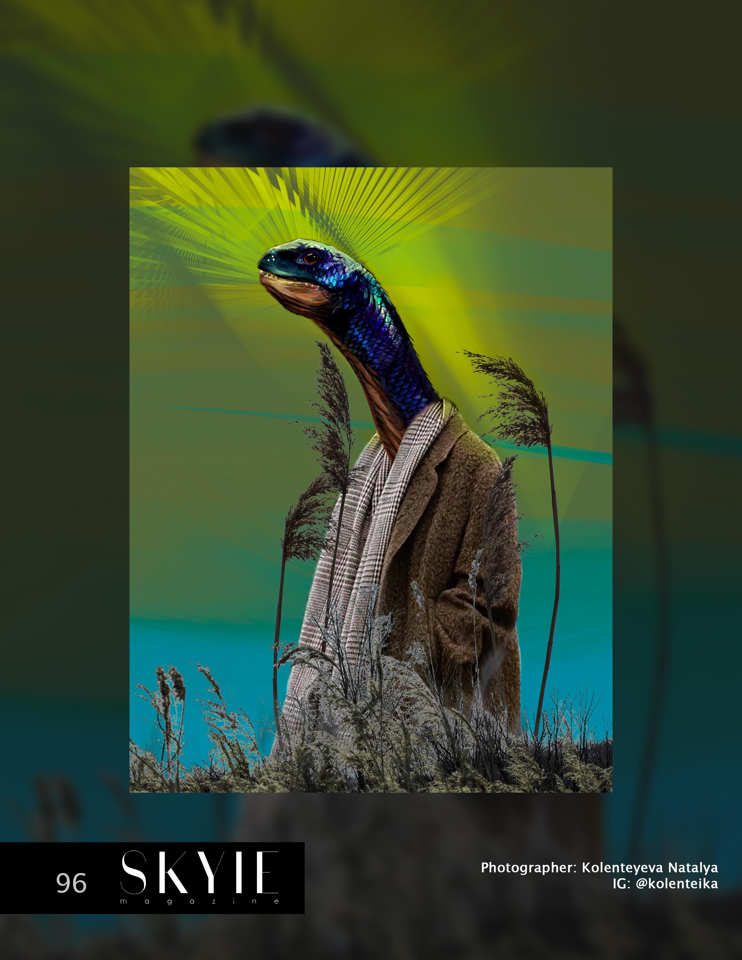 Публикации фотографий. Колентеева Наталья/фотограф