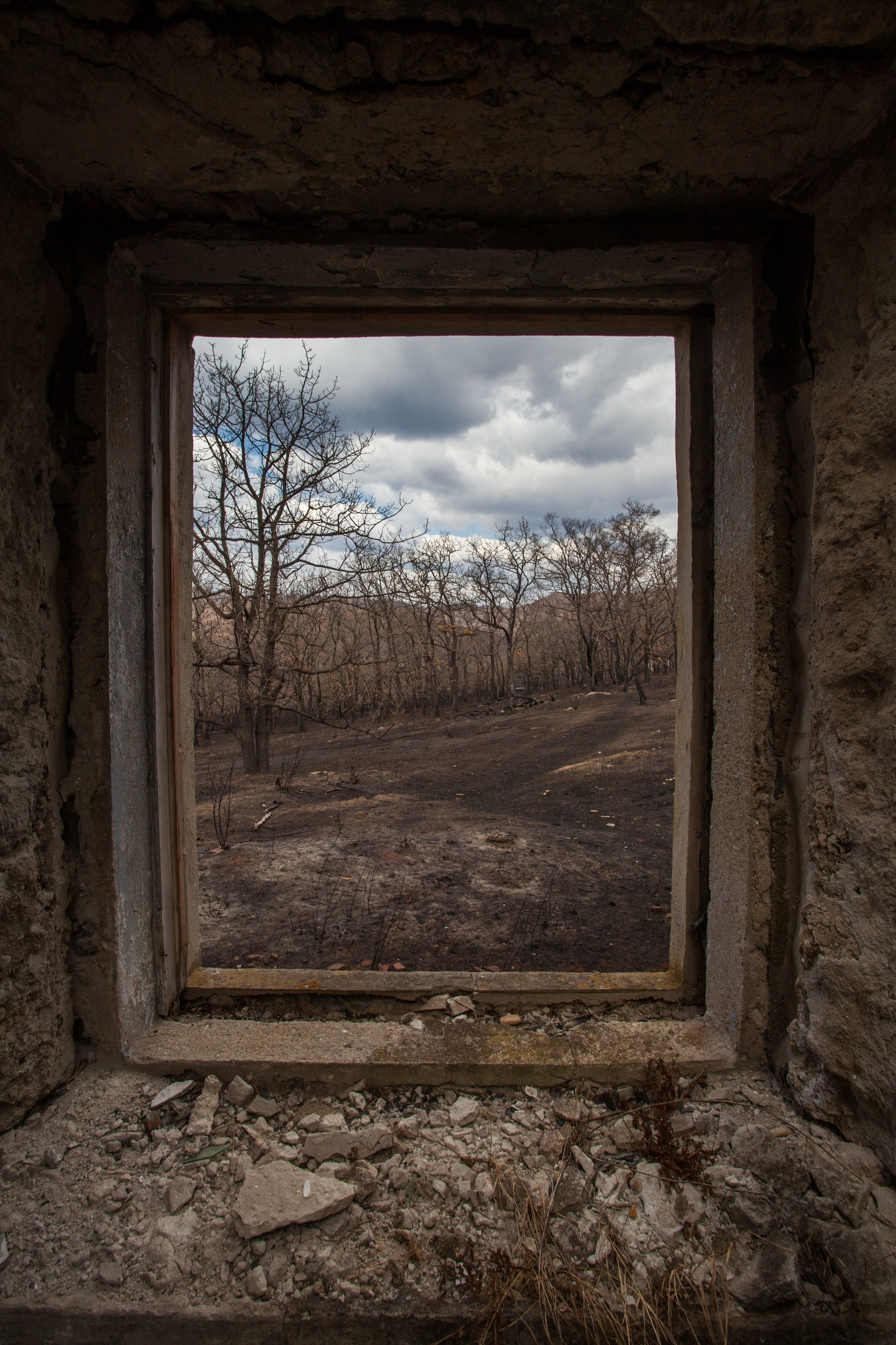 Пейзаж. Репортажный Фотограф во Владивостоке и России Осипчук Дмитрий
