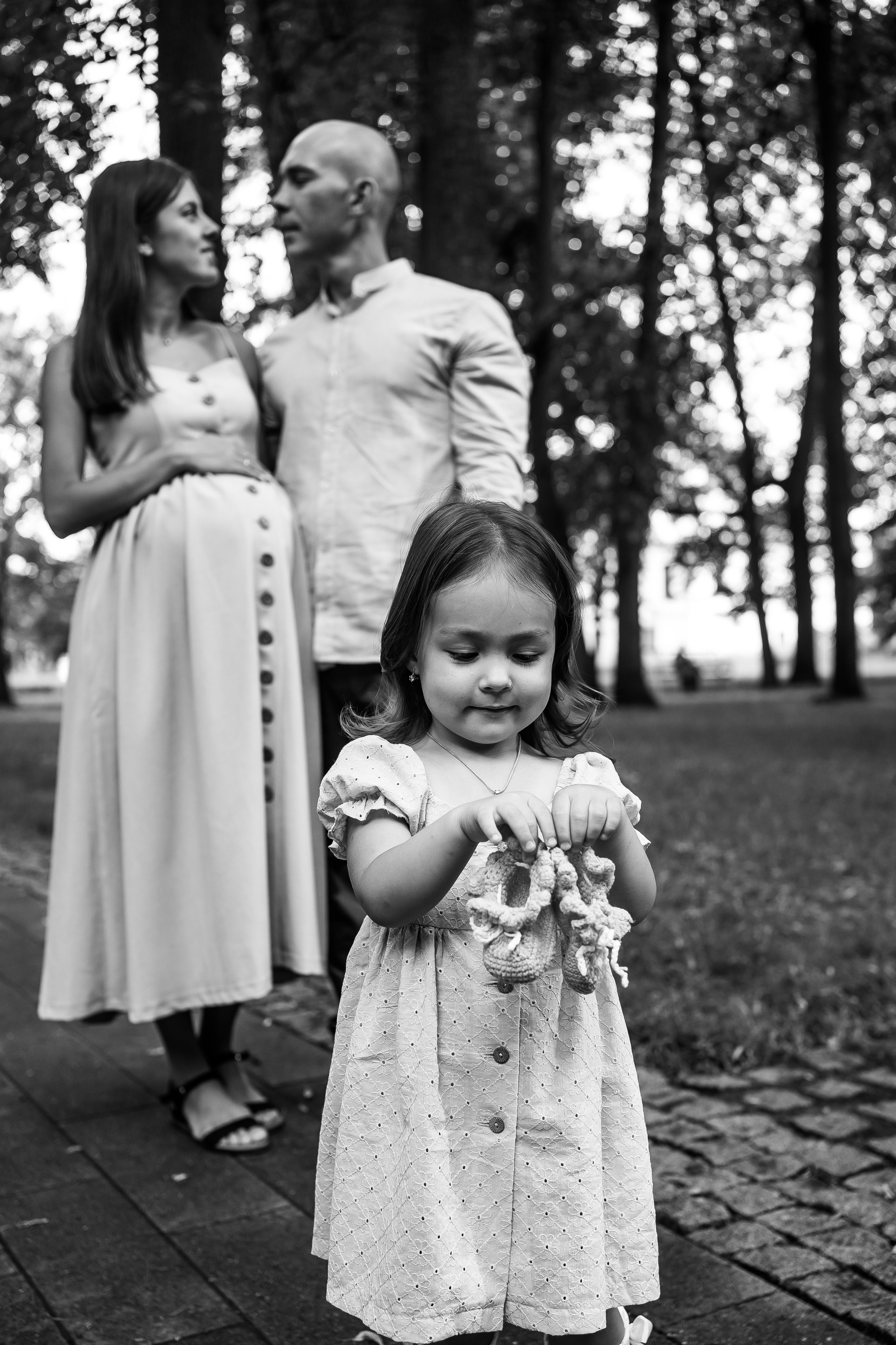 Абиша и Илья