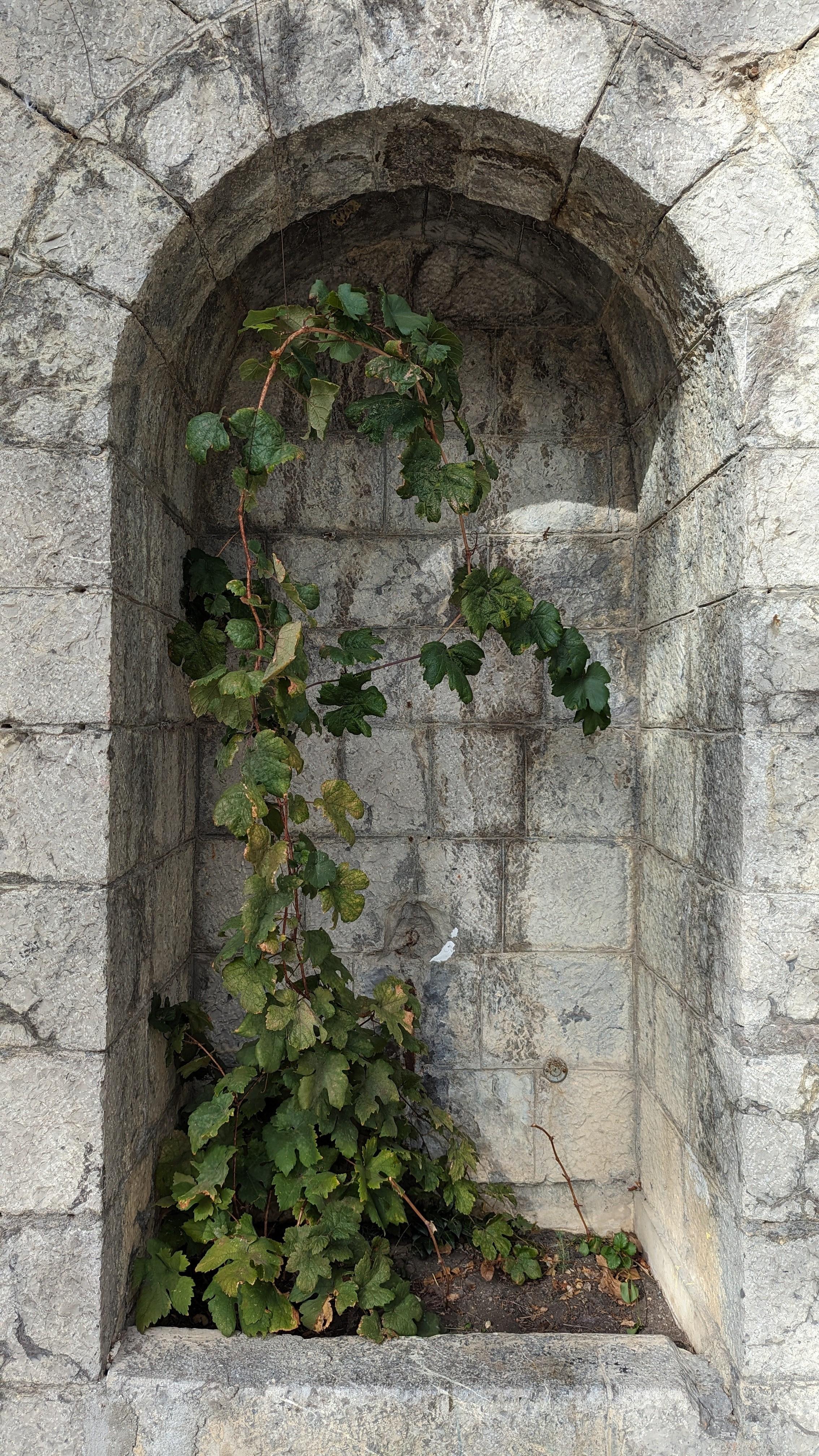 Топ локаций для фотосессии в Крыму - советы от фотографа. Профессиональная фотосъемка в Крыму. Натуральные эмоции и живые кадры. Забронируйте дату прямо сейчас!