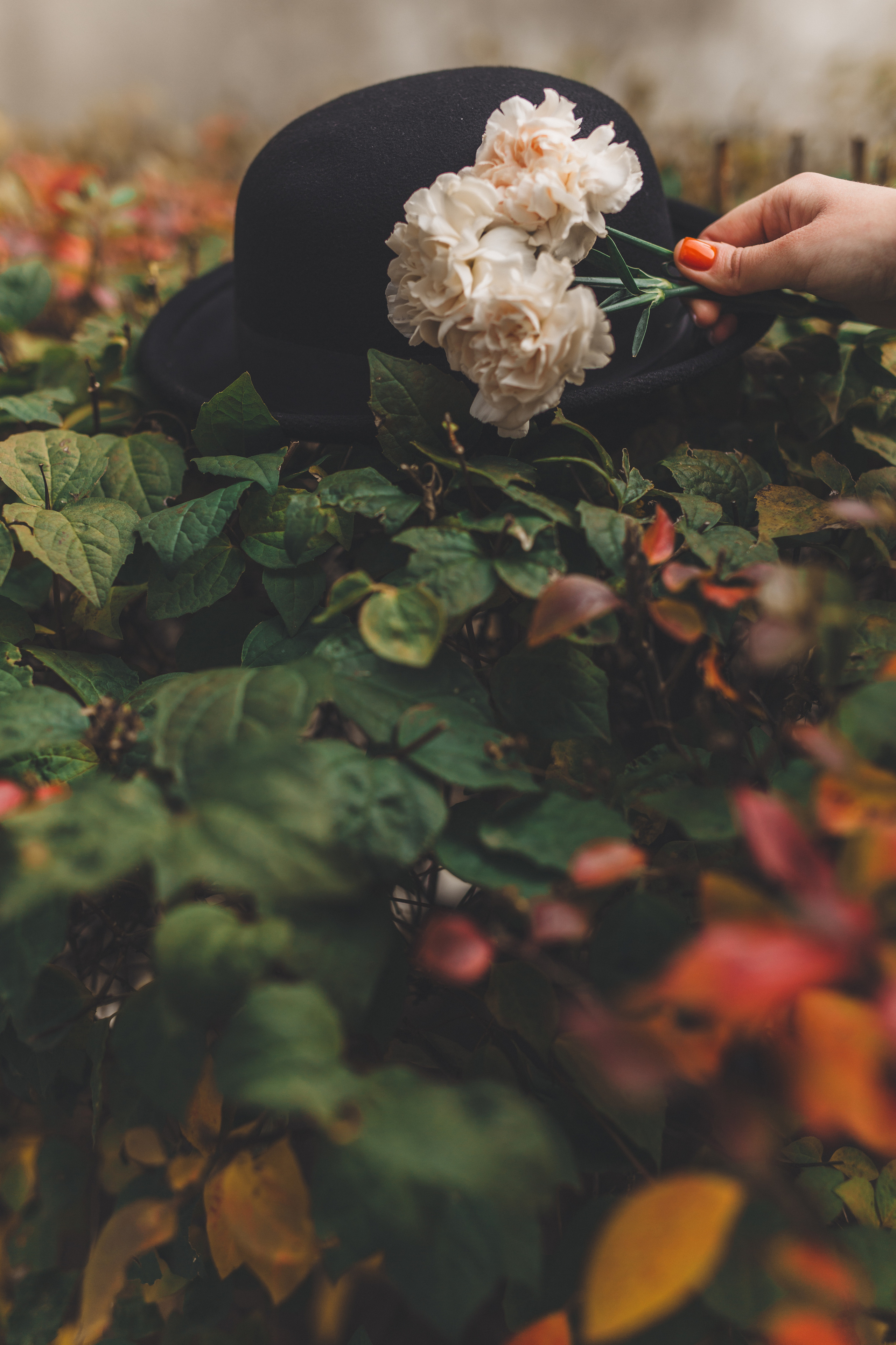 Н И К И Т А & А Н Г Е Л И Н А. Հարսանեկան լուսանկարչություն Հայաստանում Ադամյանների ընտանիքի կողմից