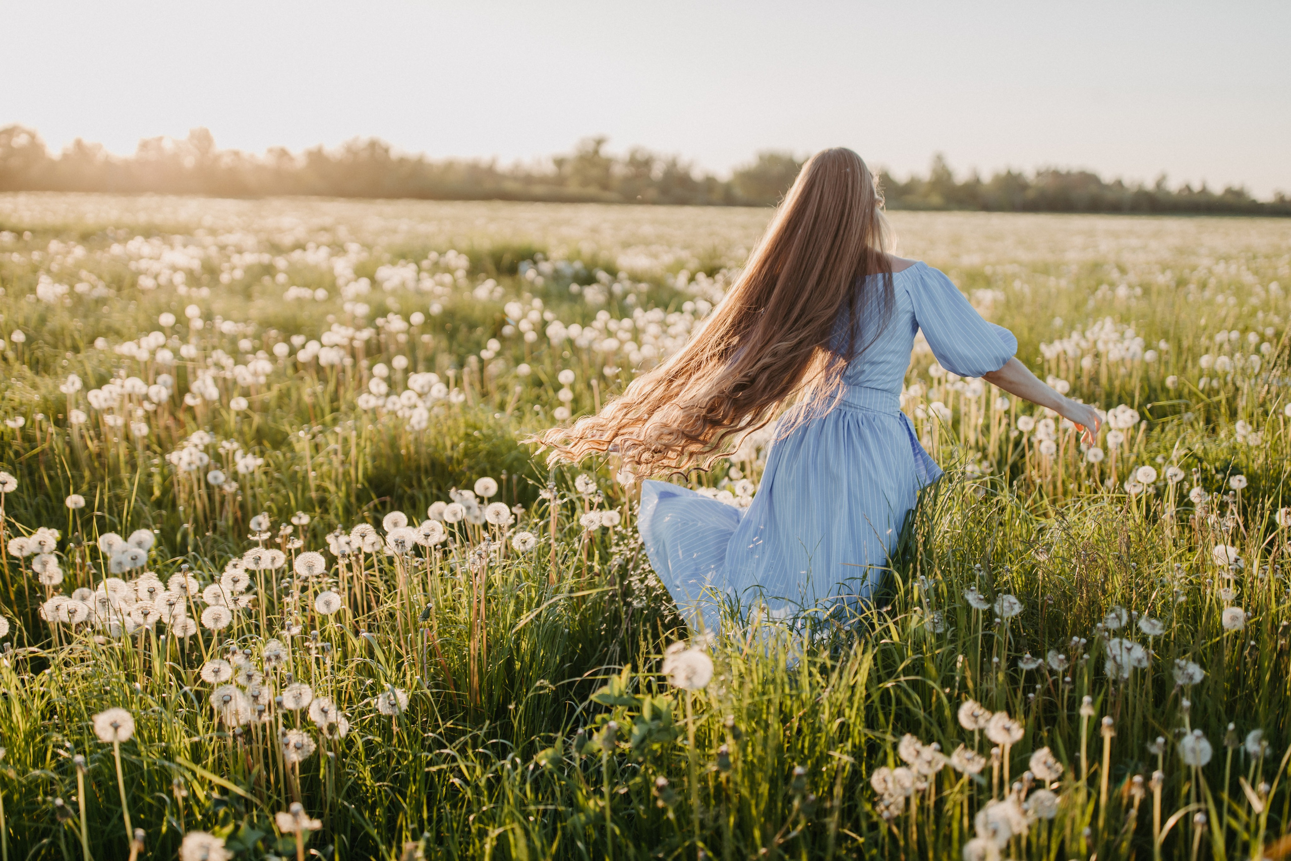 Одуванчиковое. Фотограф в Санкт-Петербурге Знаменская Ирина