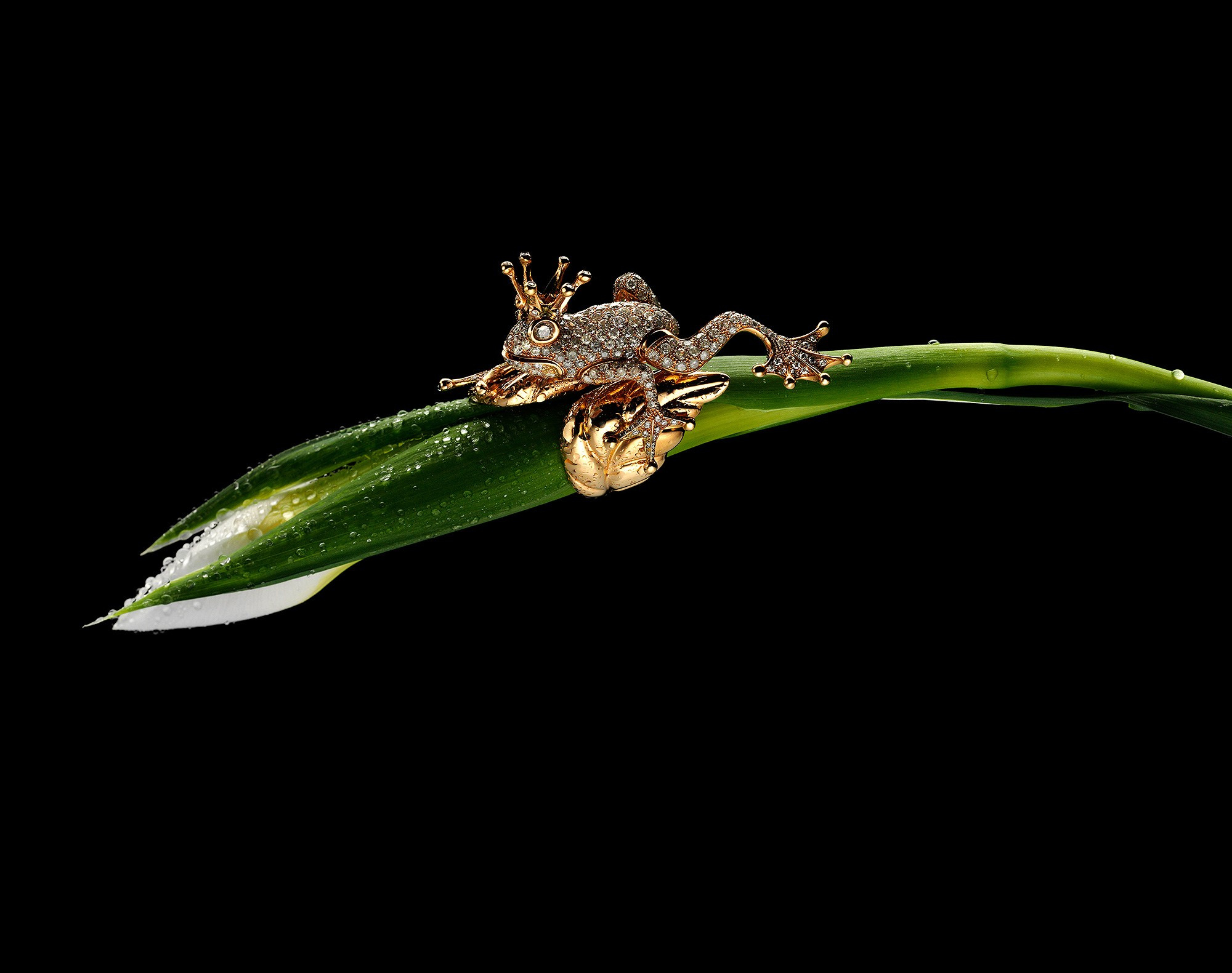 ЮВЕЛИРНОЕ, ЧАСЫ. Фотостудия Игоря Сахарова (Санкт-Петербург)
