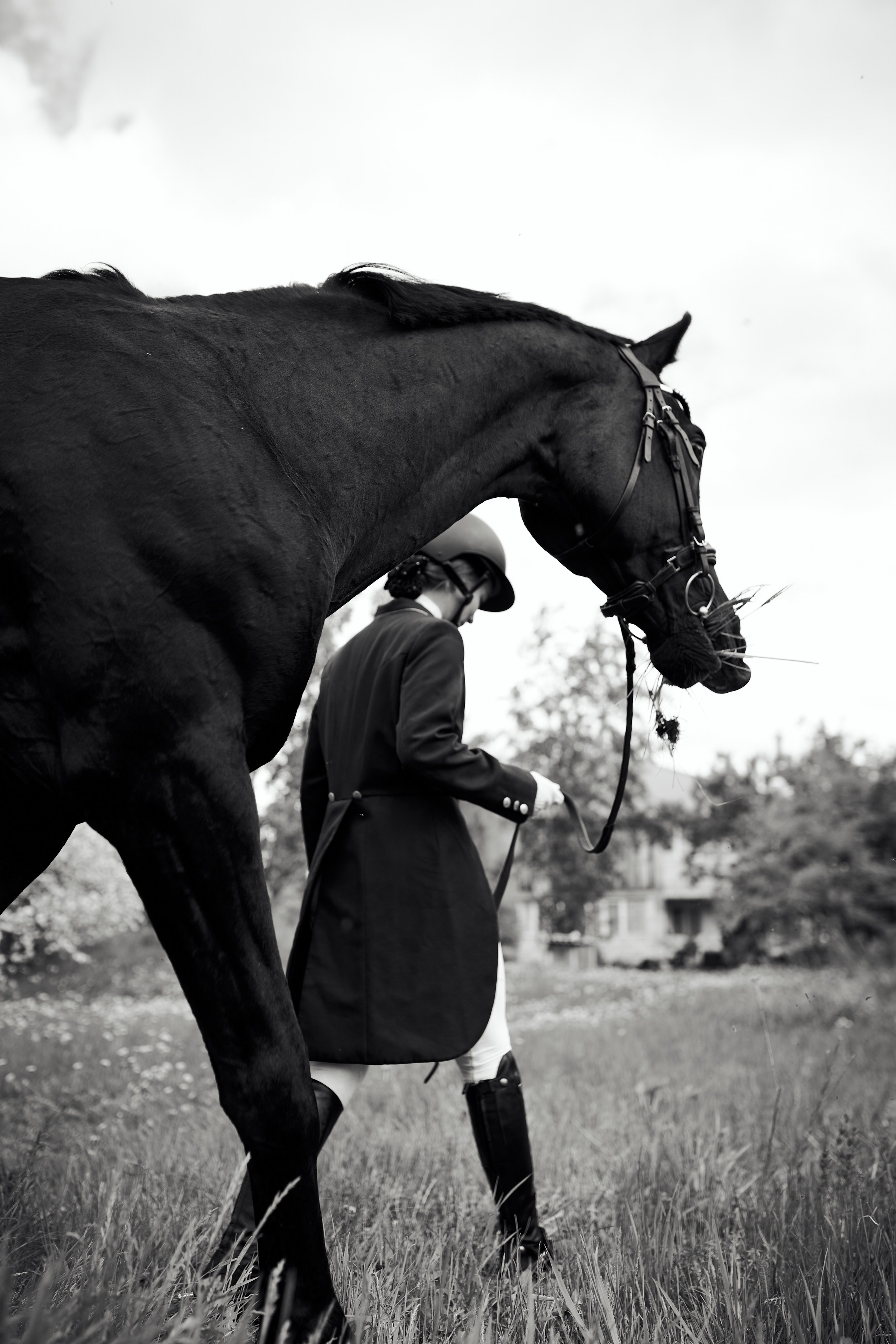 Полина и Парламент. Фотосессии с лошадьми в Москве, Новосибирске