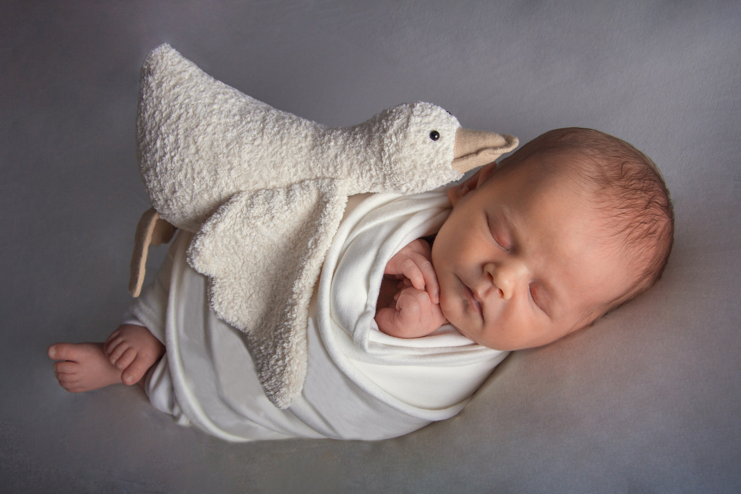 Фотограф Соколова Анастасия Саратов. Детский фотограф в Саратове — Соколова Анастасия