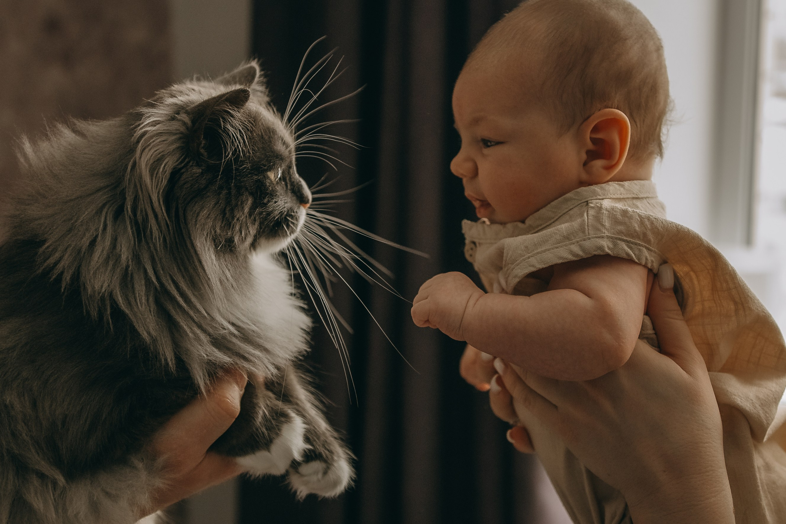 Даня. Гаврилова Настя семейный фотограф lifestyle в Москве