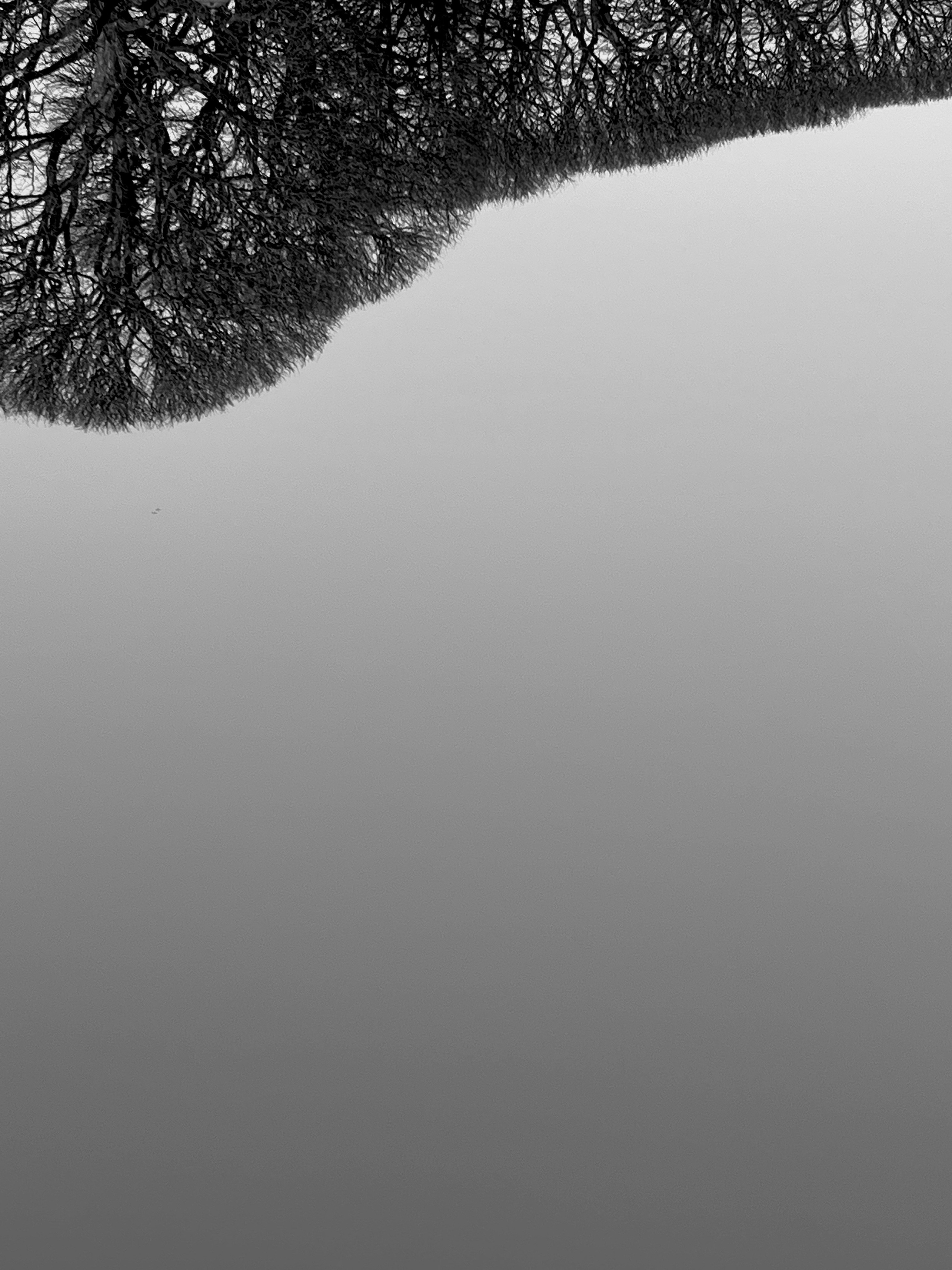 Формы. Коммерческий фотограф Тарасов Дмитрий