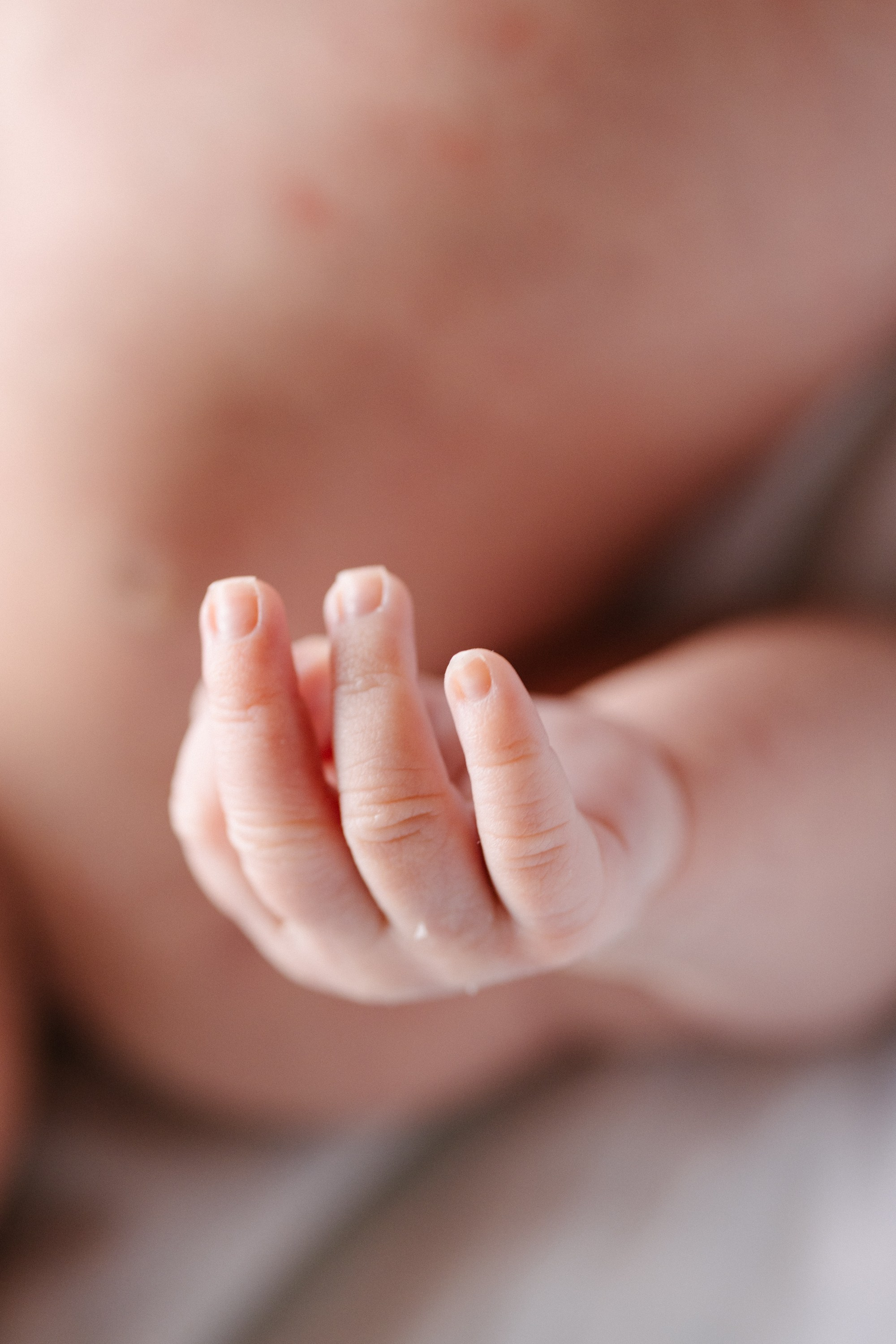 Алеся и семья. Свадебный и семейный фотограф в Смоленске Галина Егорова