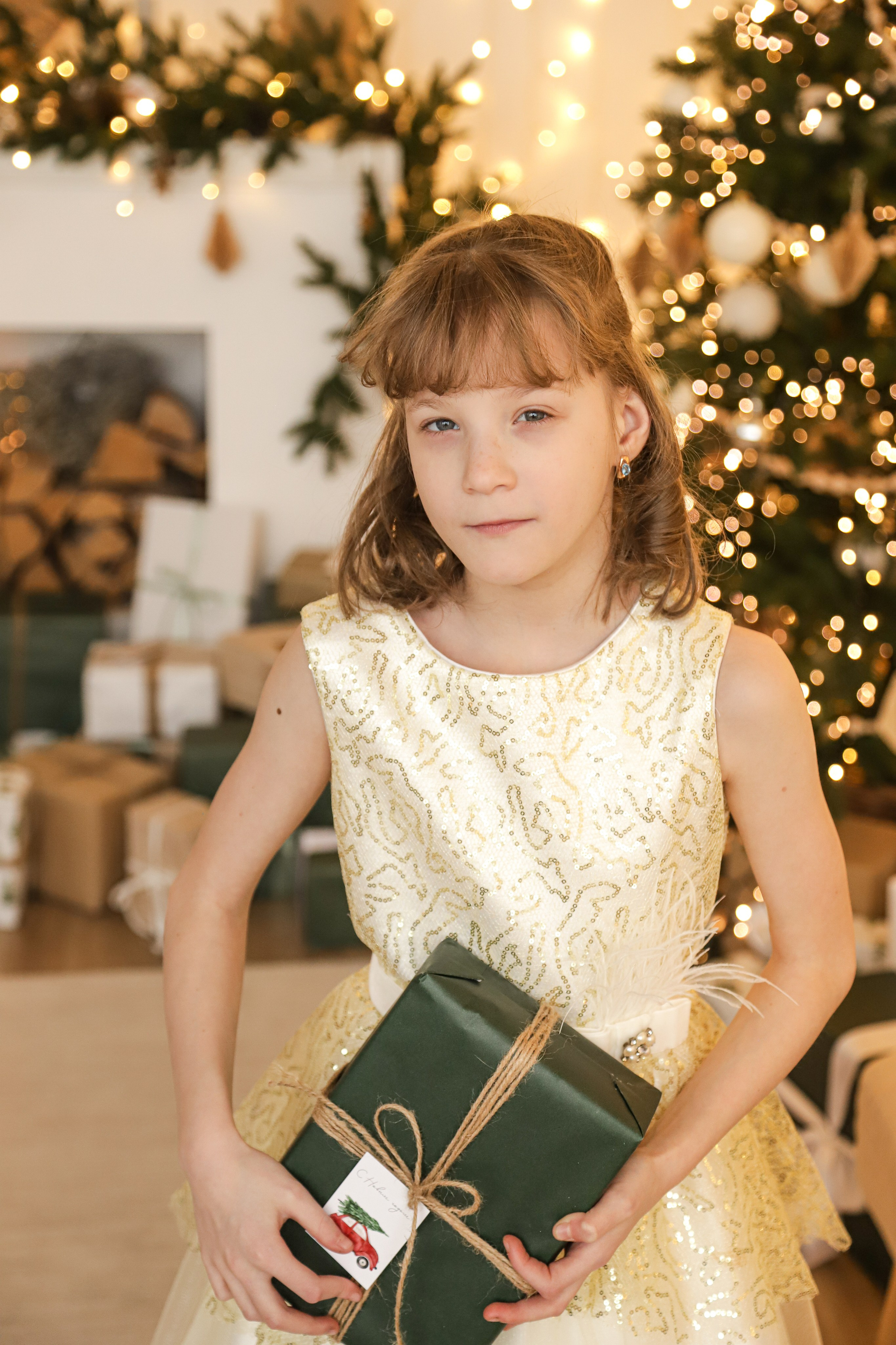 Сестрички новогодняя. Диана Николаева — фотограф город Балашиха