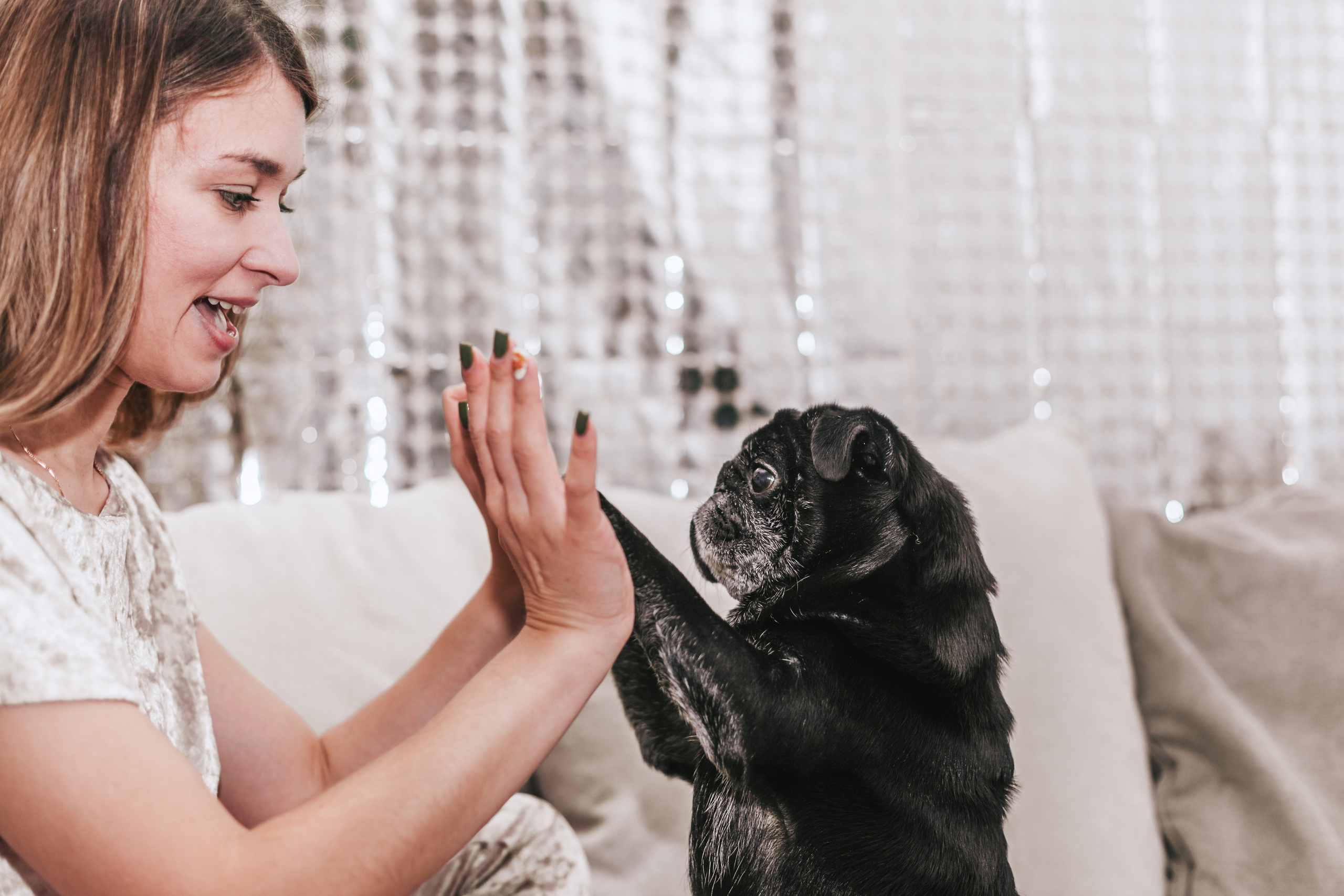 Домашняя фотосессия Оли и двух ее мопсов. Фотограф-анималист Татьяна Степанова