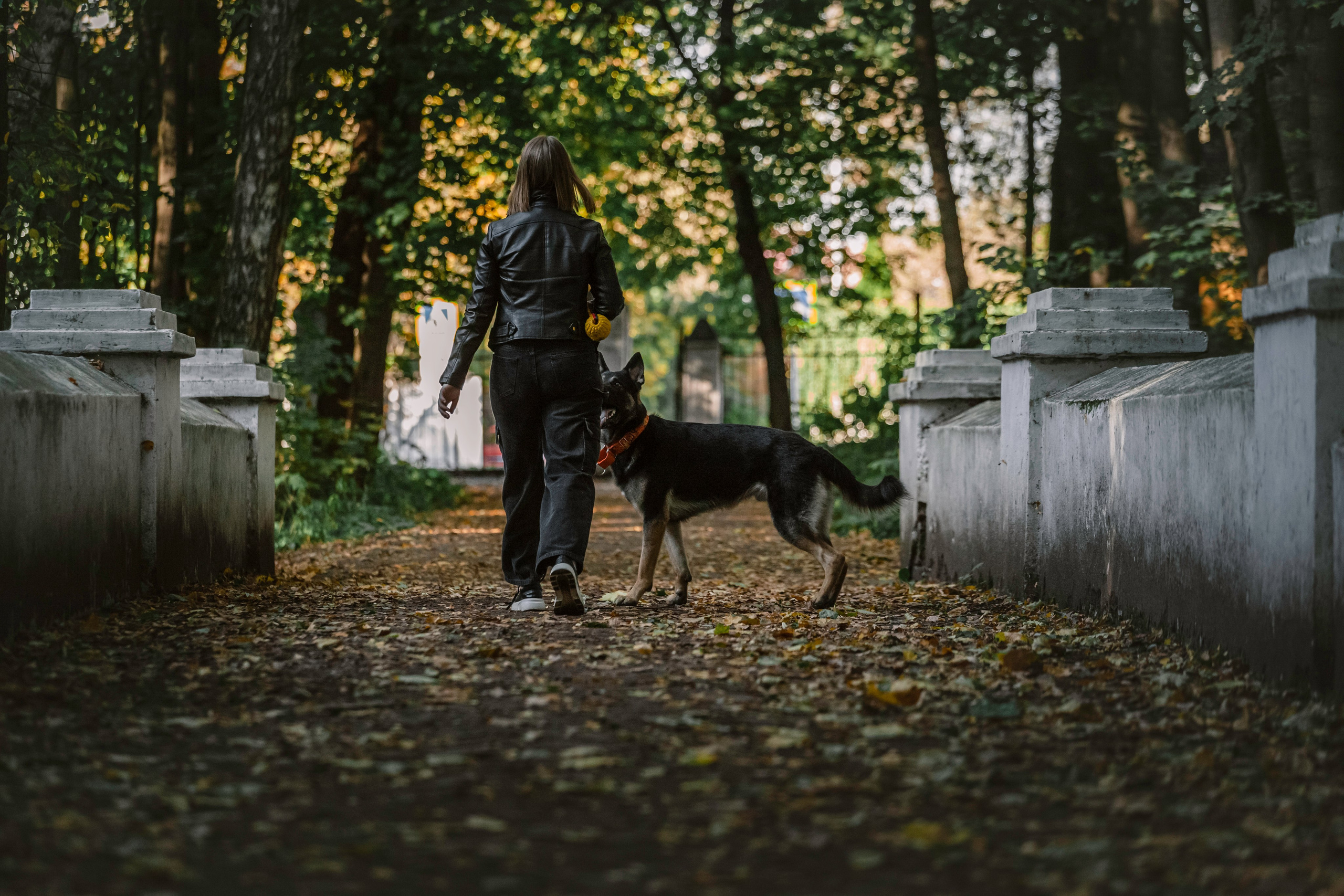Илай. Фотограф-анималист Татьяна Степанова