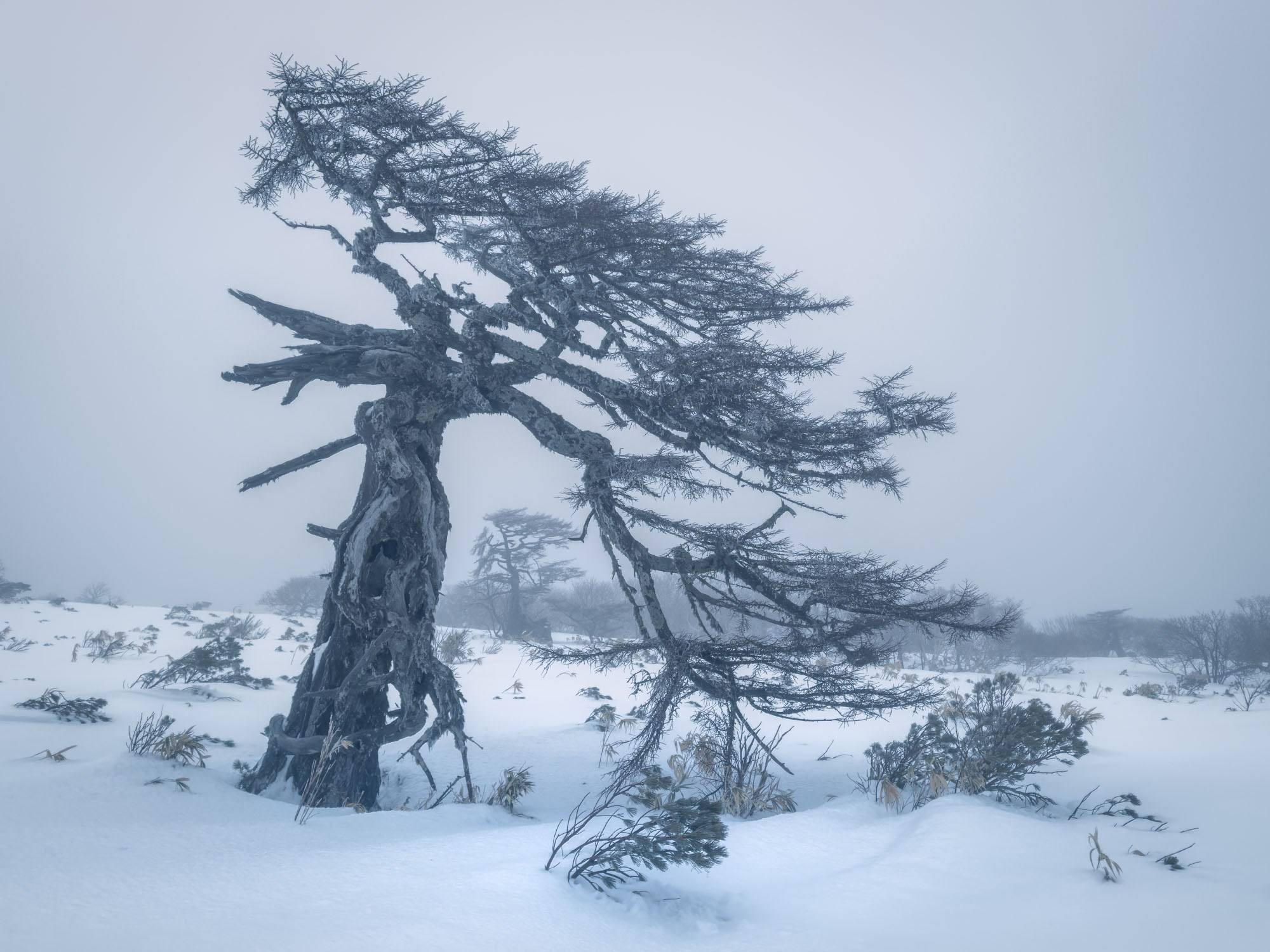Фотогалерея Зимние Курилы