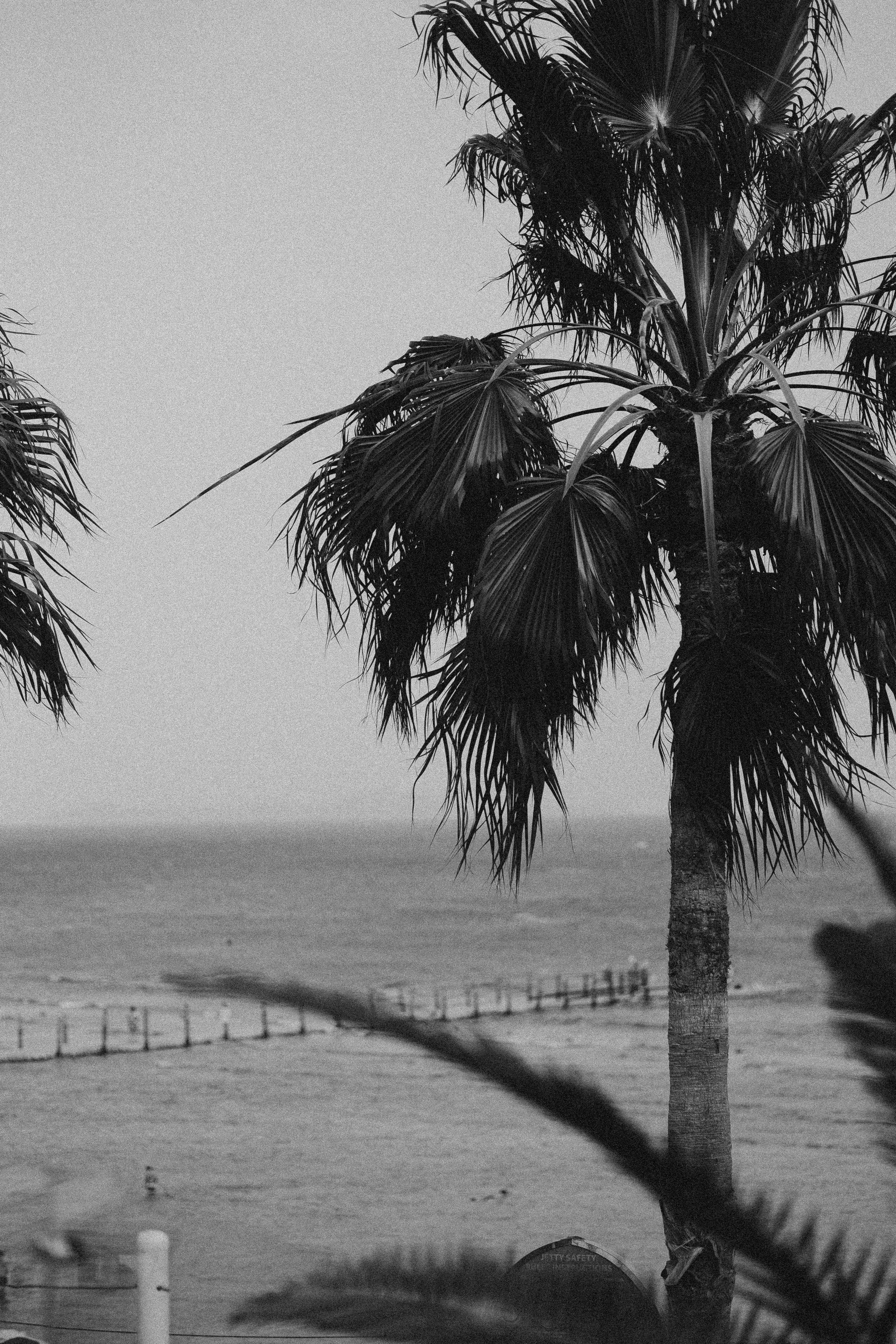 Пляж. Alesya Gee Photographer Uzbekistan